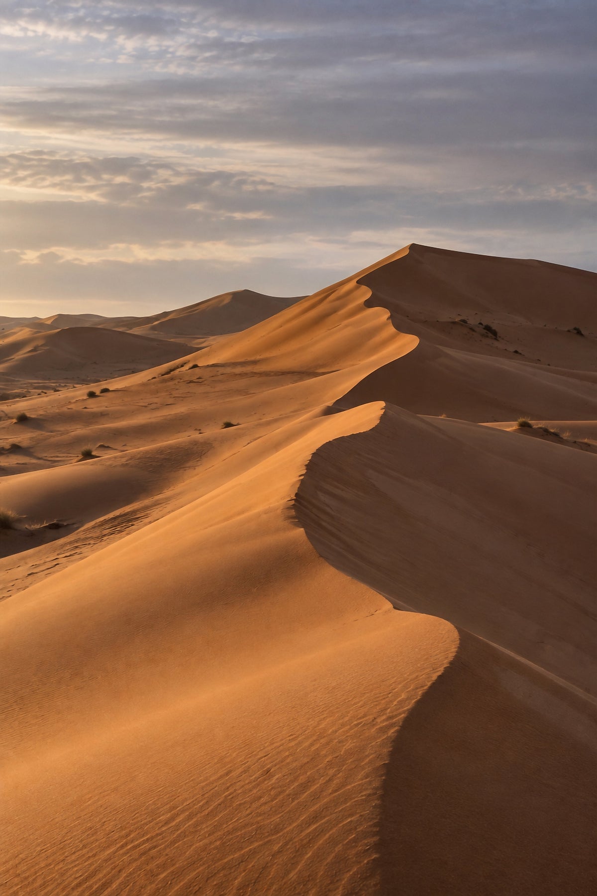 Affiche nature Erg Chigaga, Maroc — aperçu