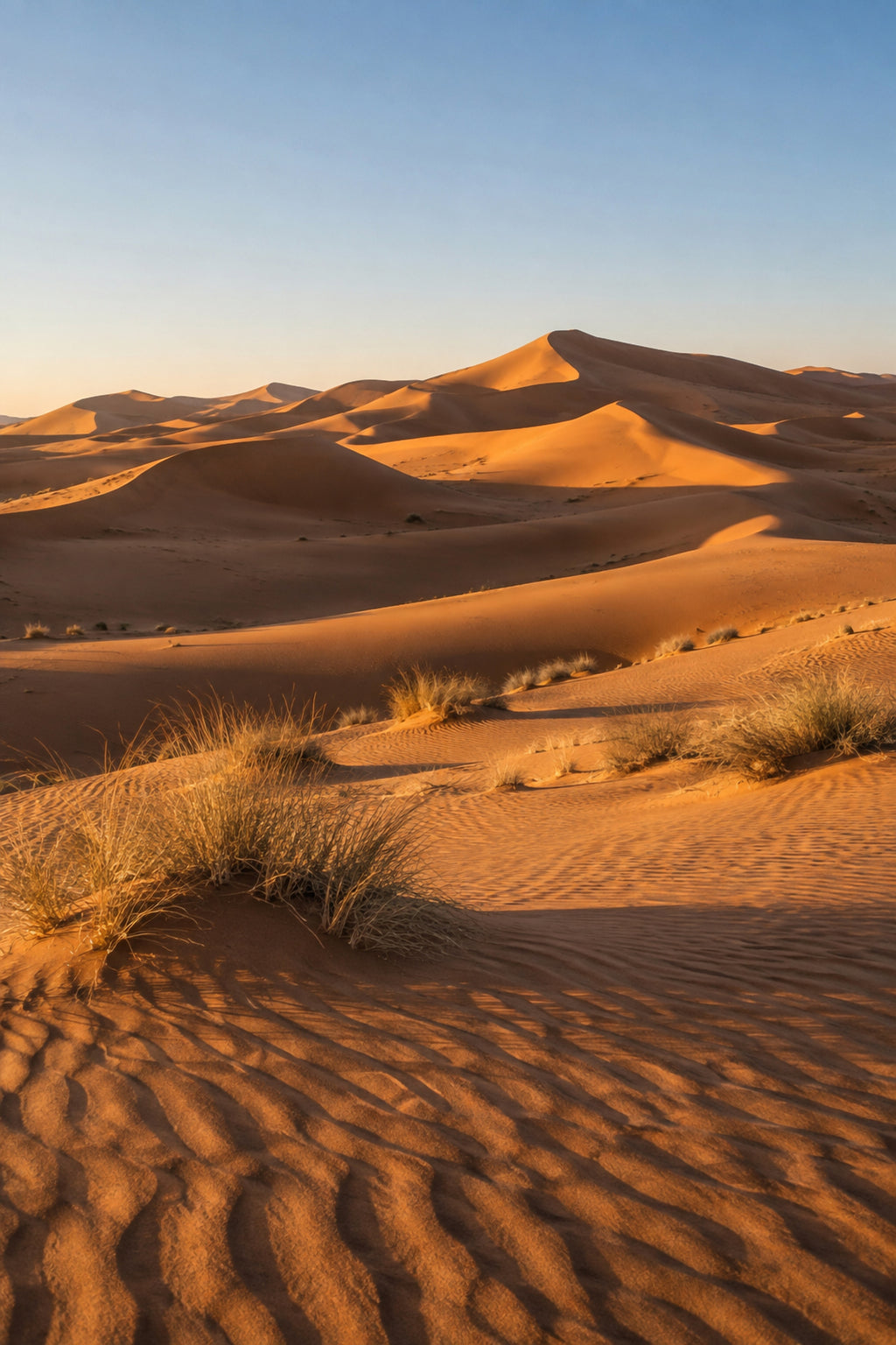 Affiche nature dunes du désert — aperçu