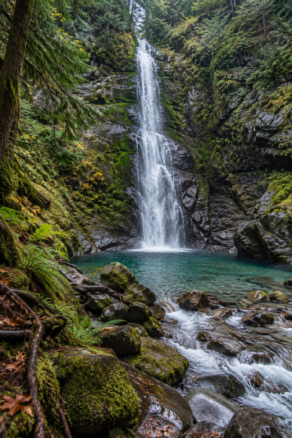 Affiche nature cascade en forêt — aperçu