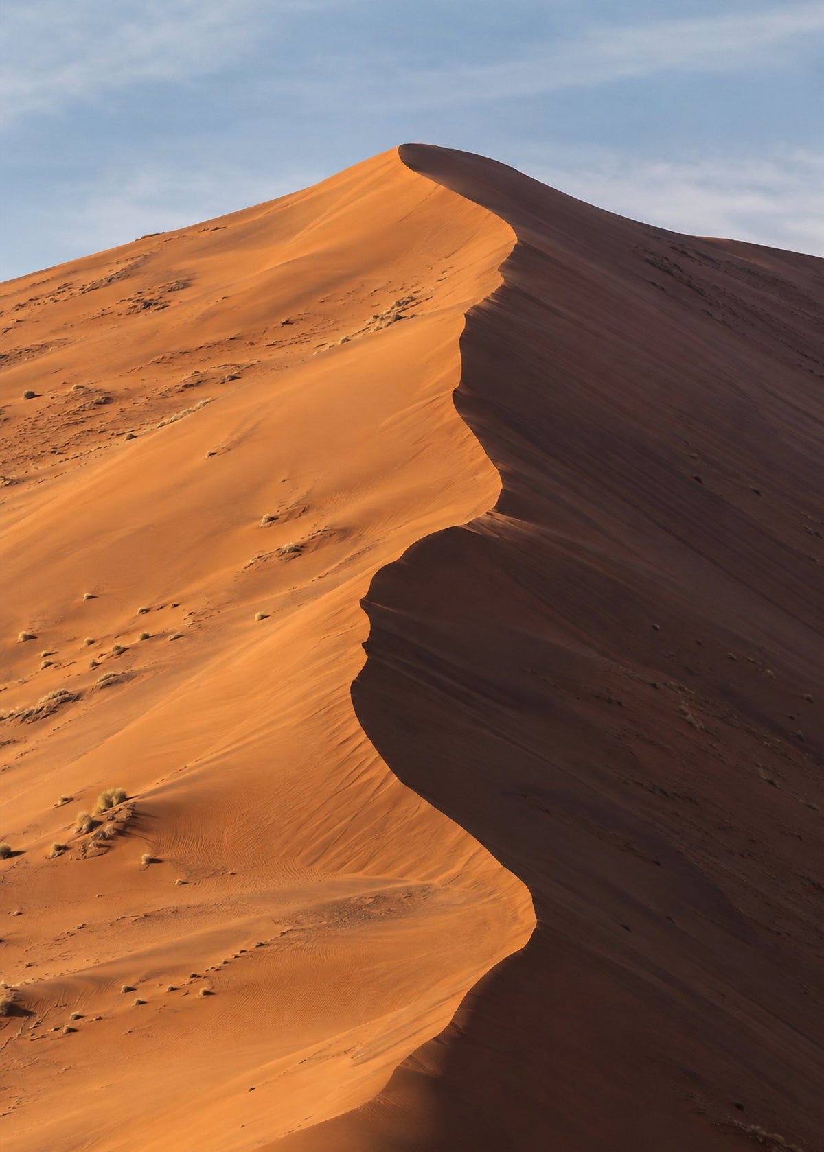 Poster encadré Dune de Sossusvlei, Namibie — photo 4