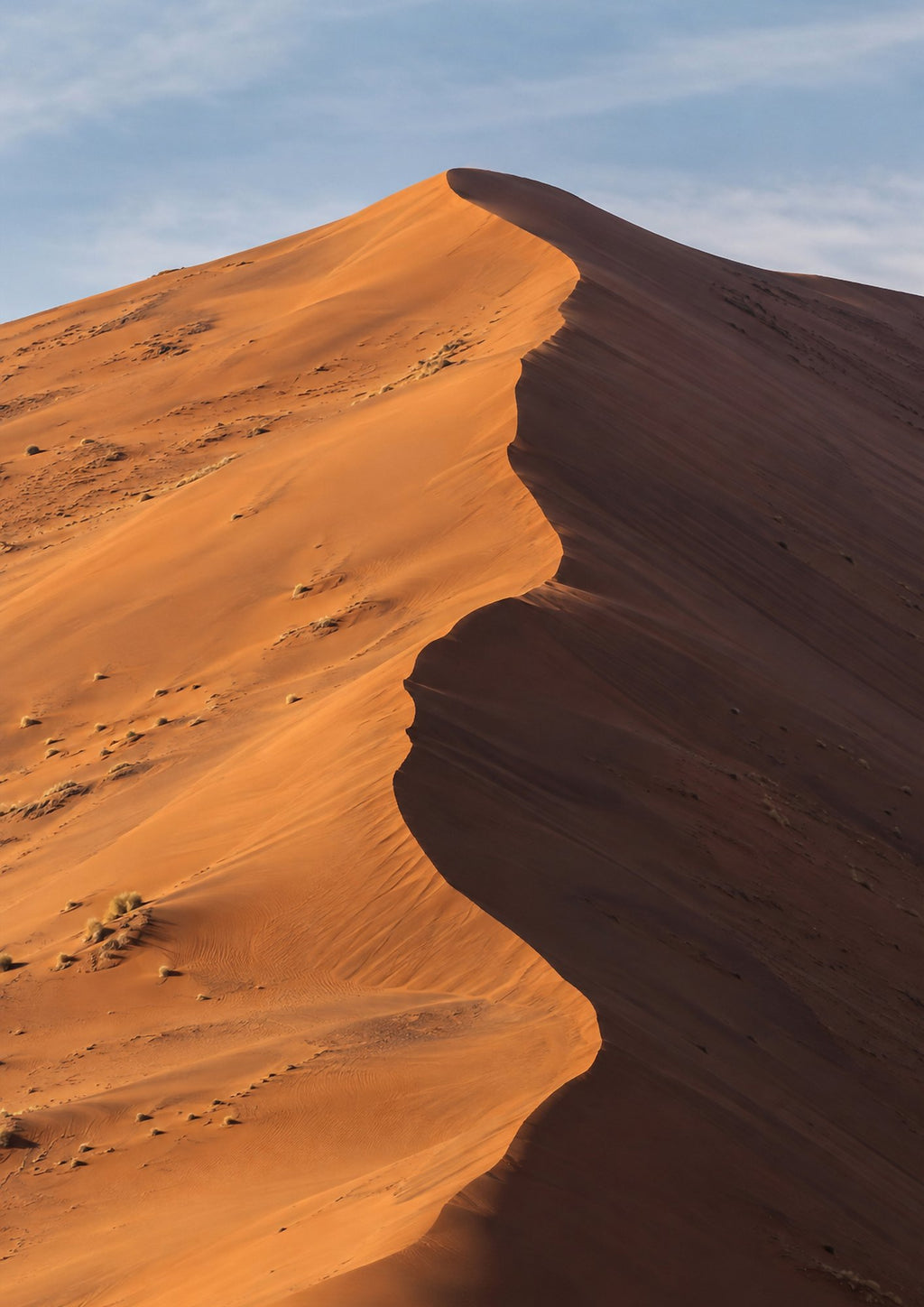 Poster encadré Dune de Sossusvlei, Namibie — photo 5