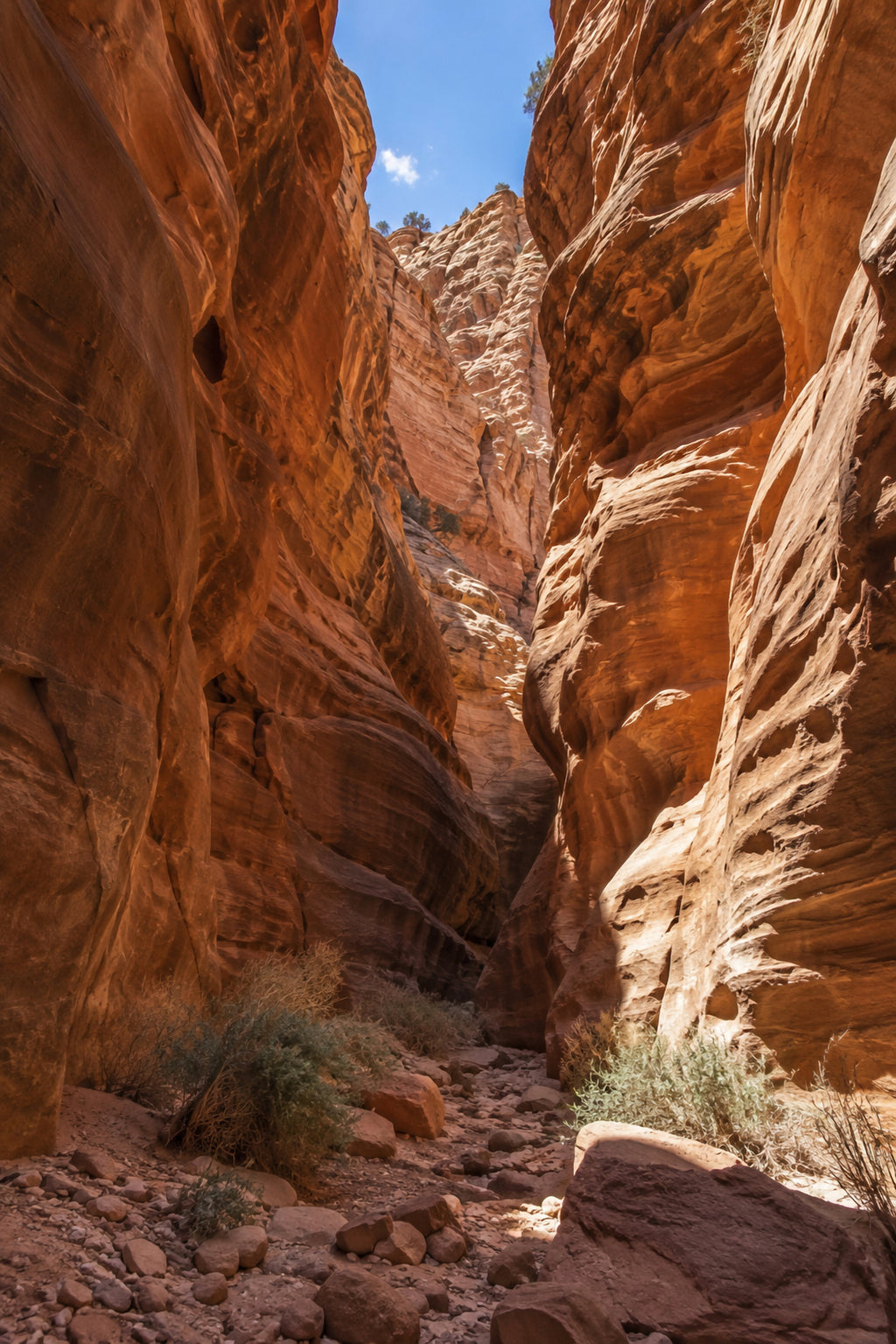 Affiche nature canyon de grès — aperçu