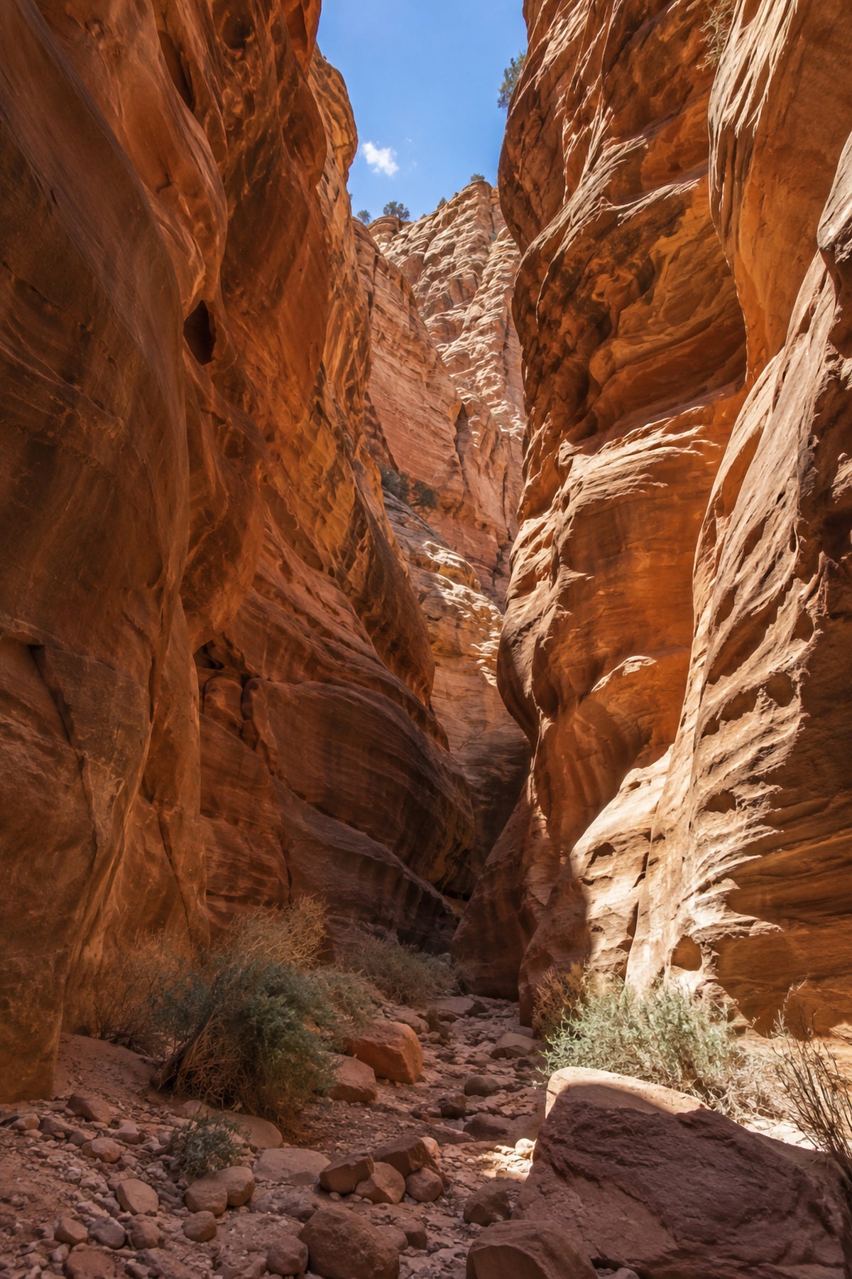 Affiche nature canyon de grès — aperçu