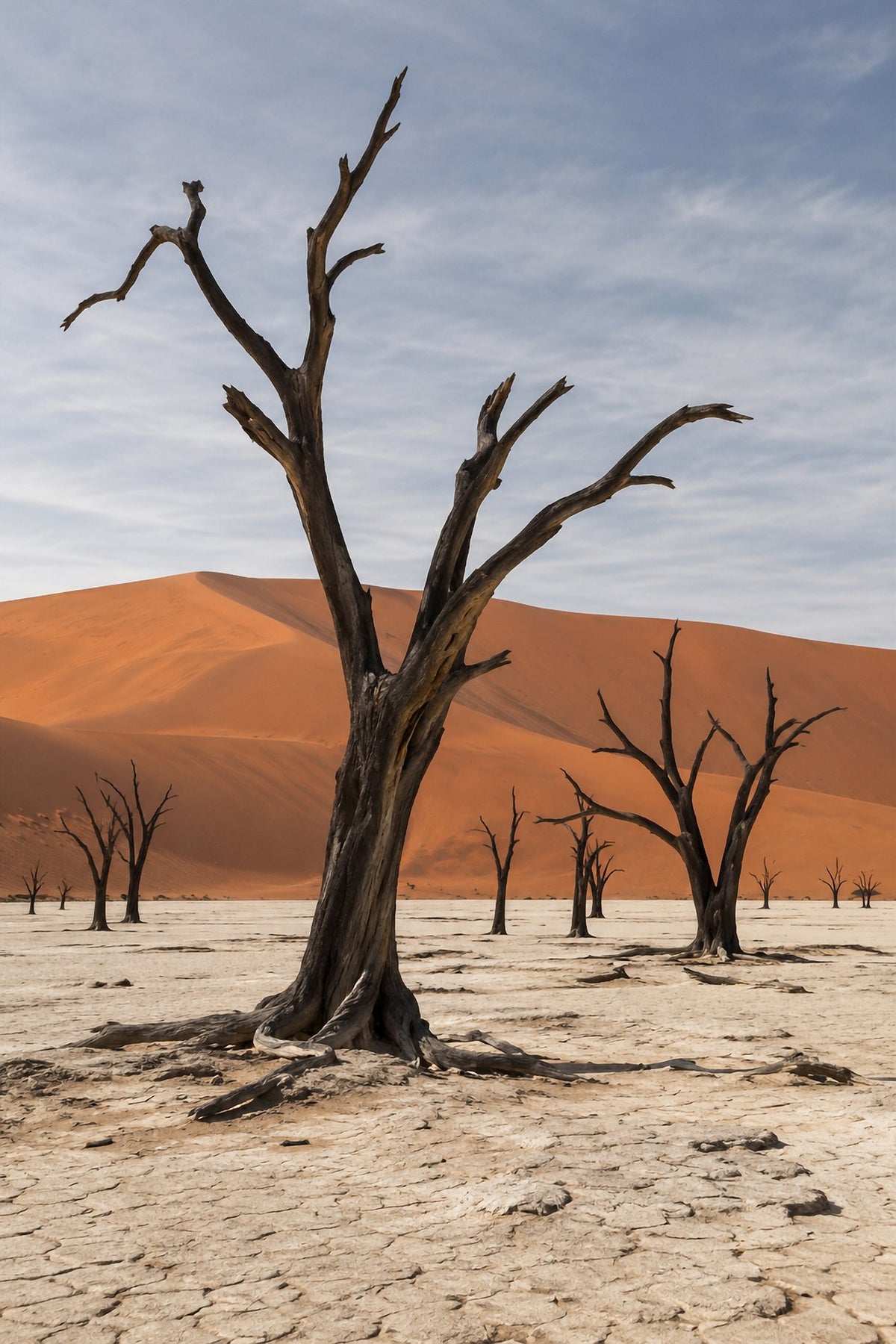 Poster encadré Deadvlei, Namibie — photo 1