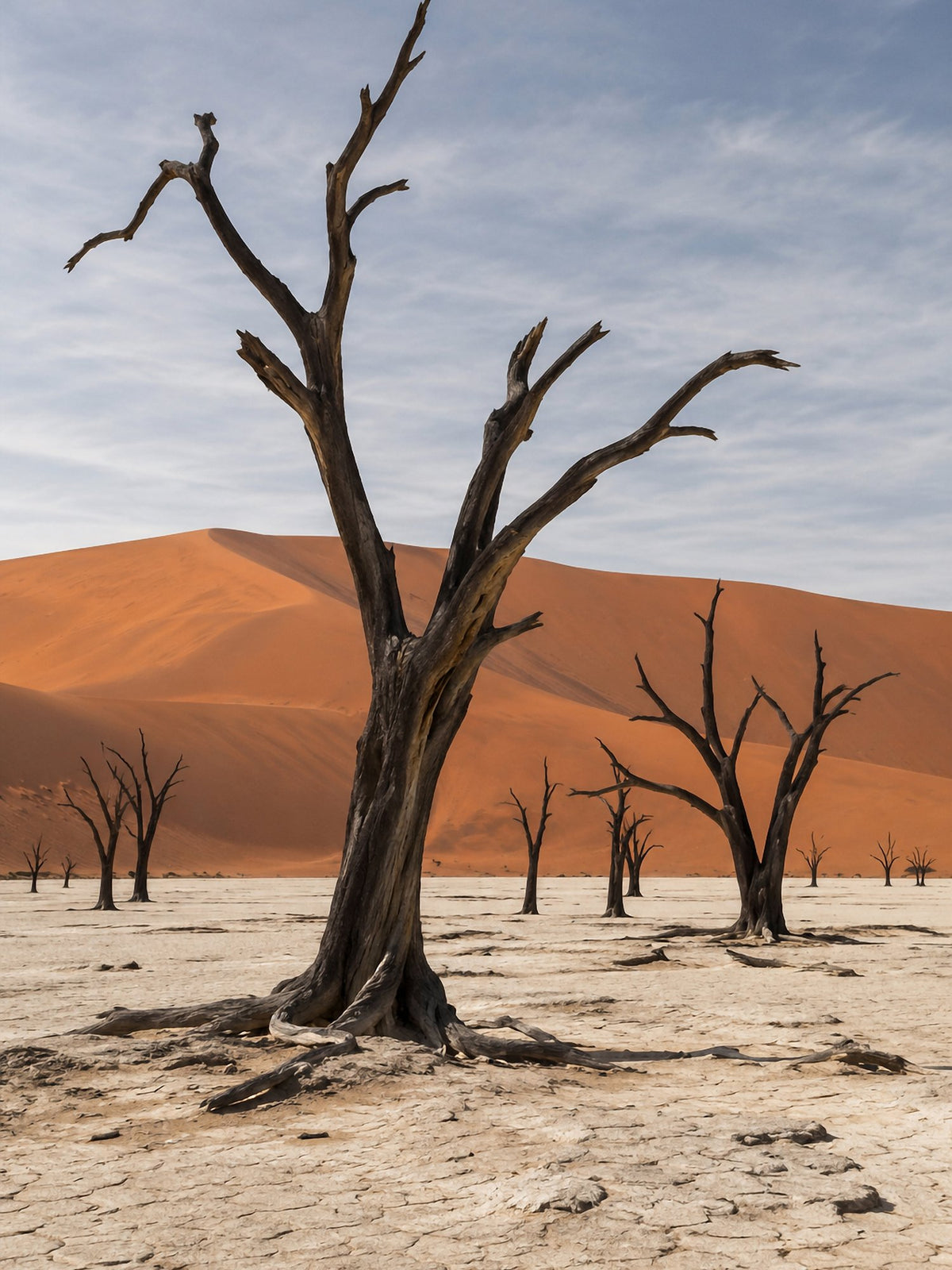 Poster encadré Deadvlei, Namibie — photo 2