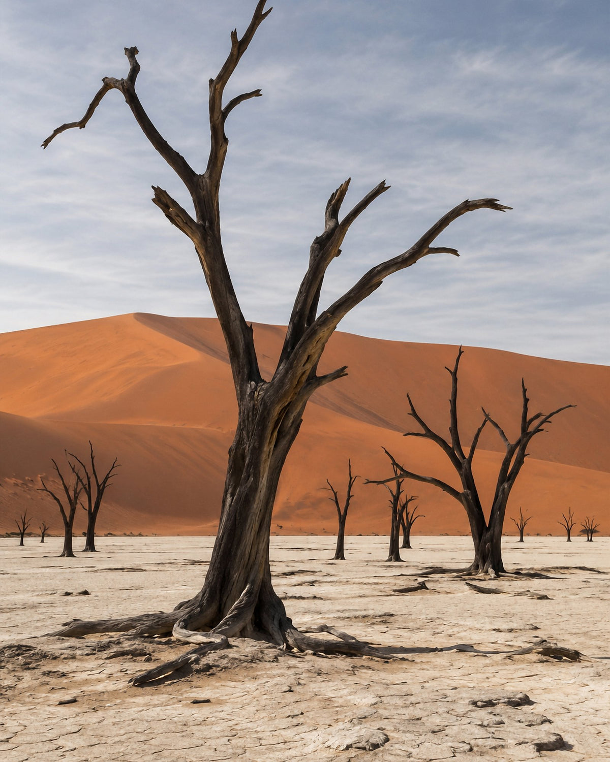 Poster encadré Deadvlei, Namibie — photo 3
