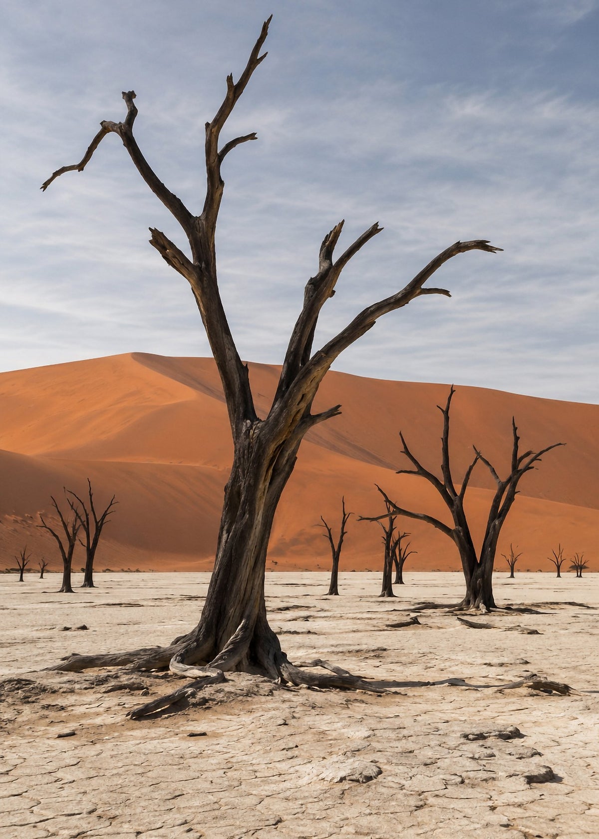 Poster encadré Deadvlei, Namibie — photo 4