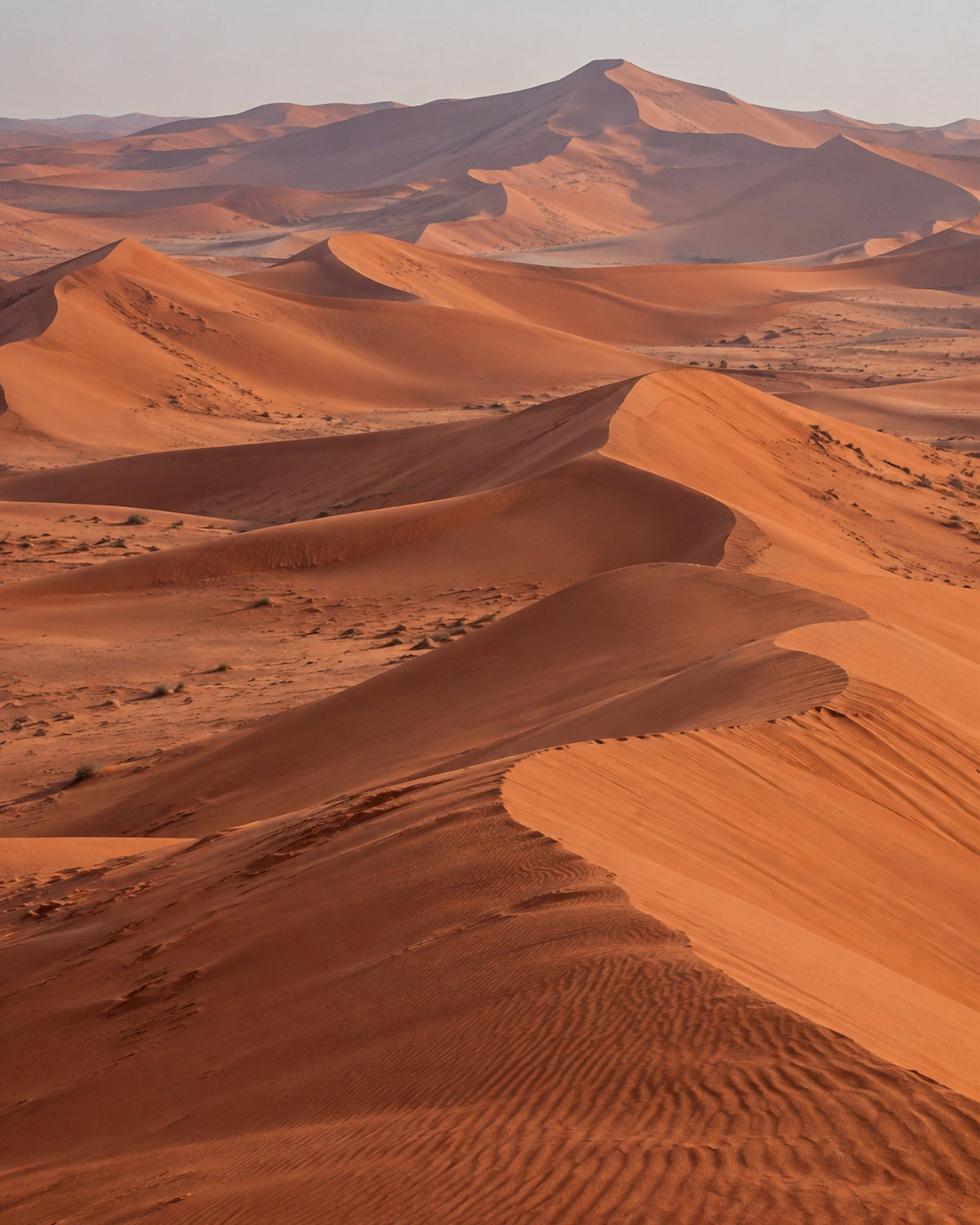 Poster encadré Rub al Khali, Arabie — photo 3