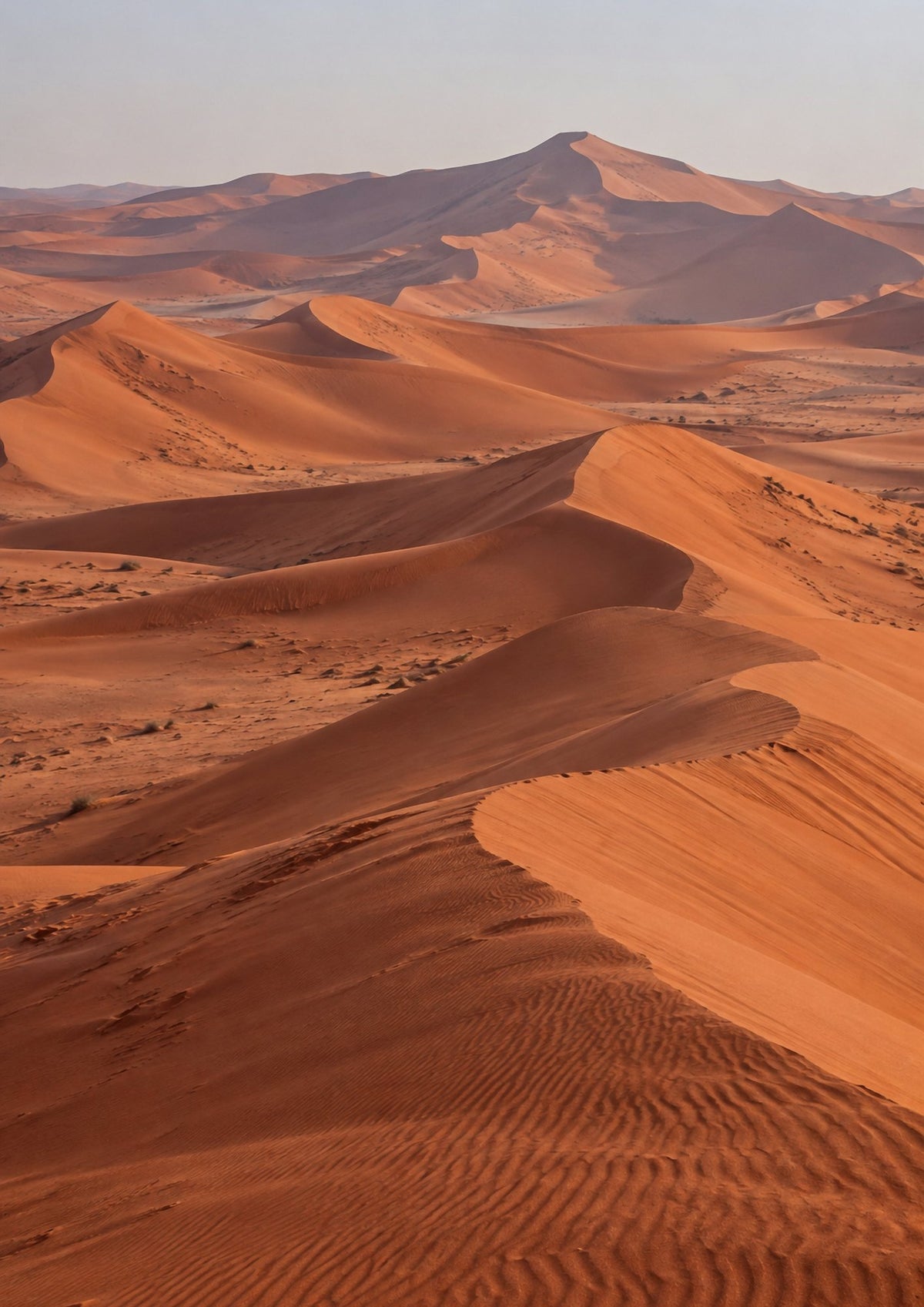 Poster encadré Rub al Khali, Arabie — photo 5