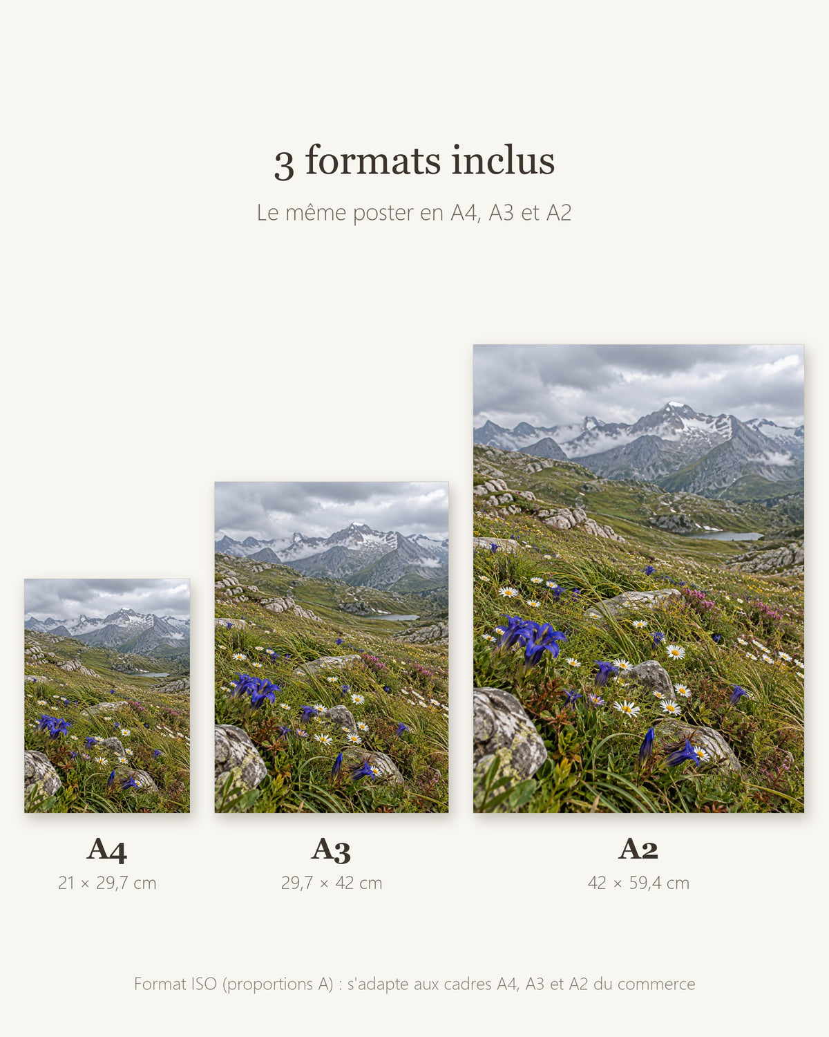 Poster Prairie alpine en fleurs — formats A4, A3 et A2