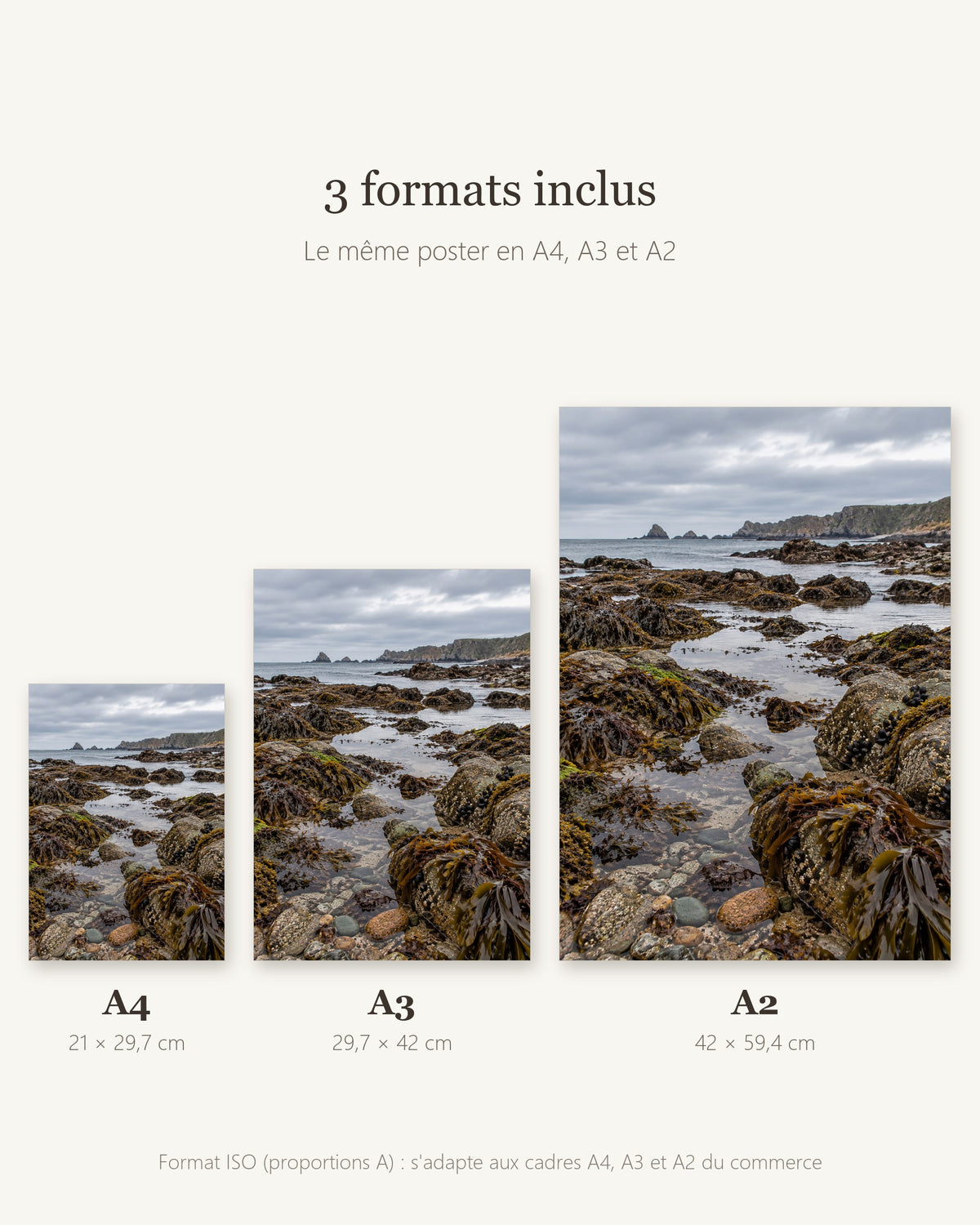Poster Côte à marée basse — formats A4, A3 et A2