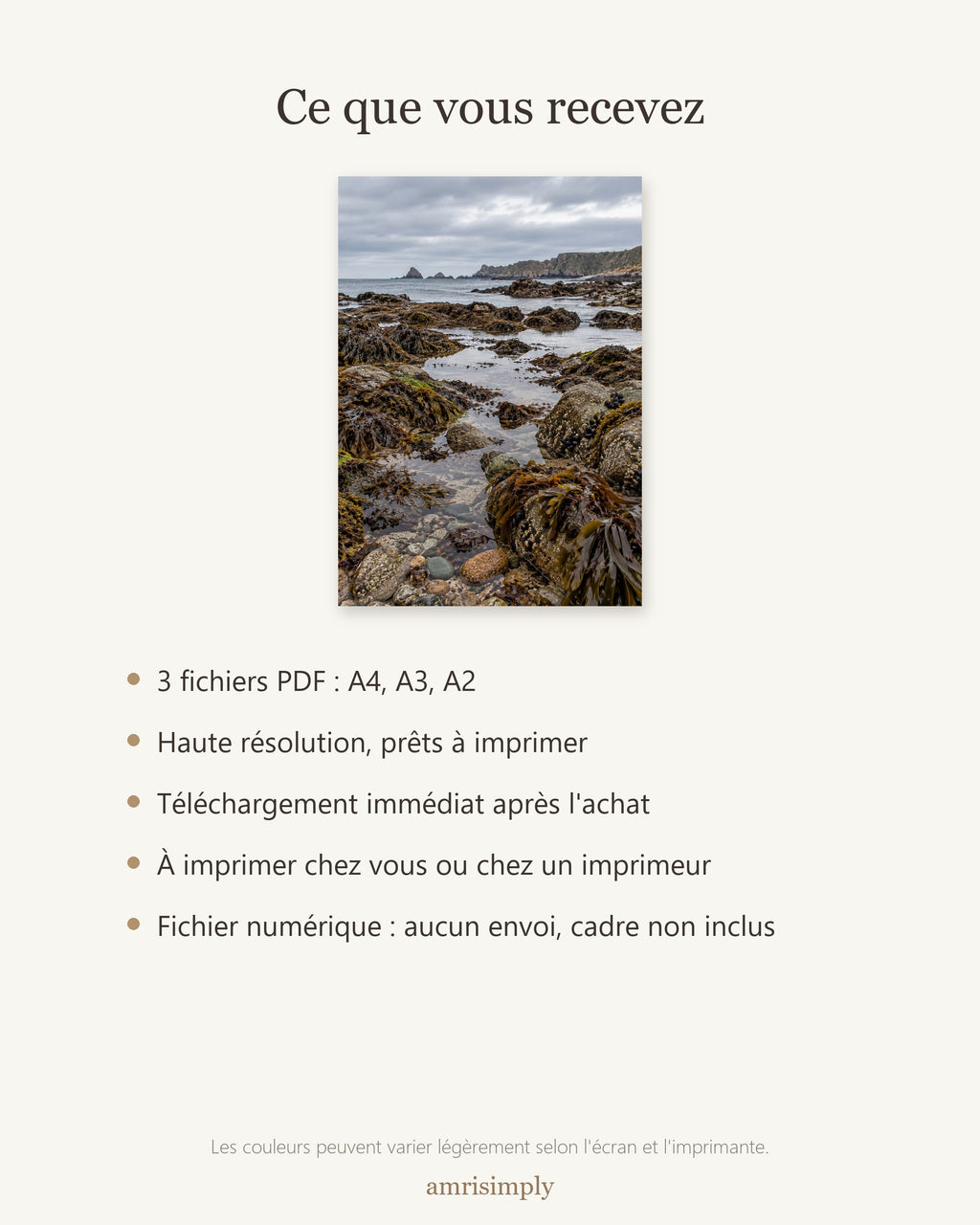Poster Côte à marée basse — contenu du téléchargement : fichiers PDF