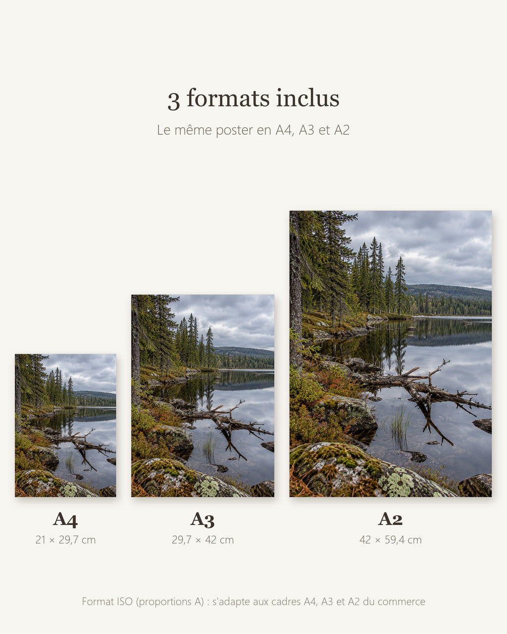 Poster Lac boréal — formats A4, A3 et A2