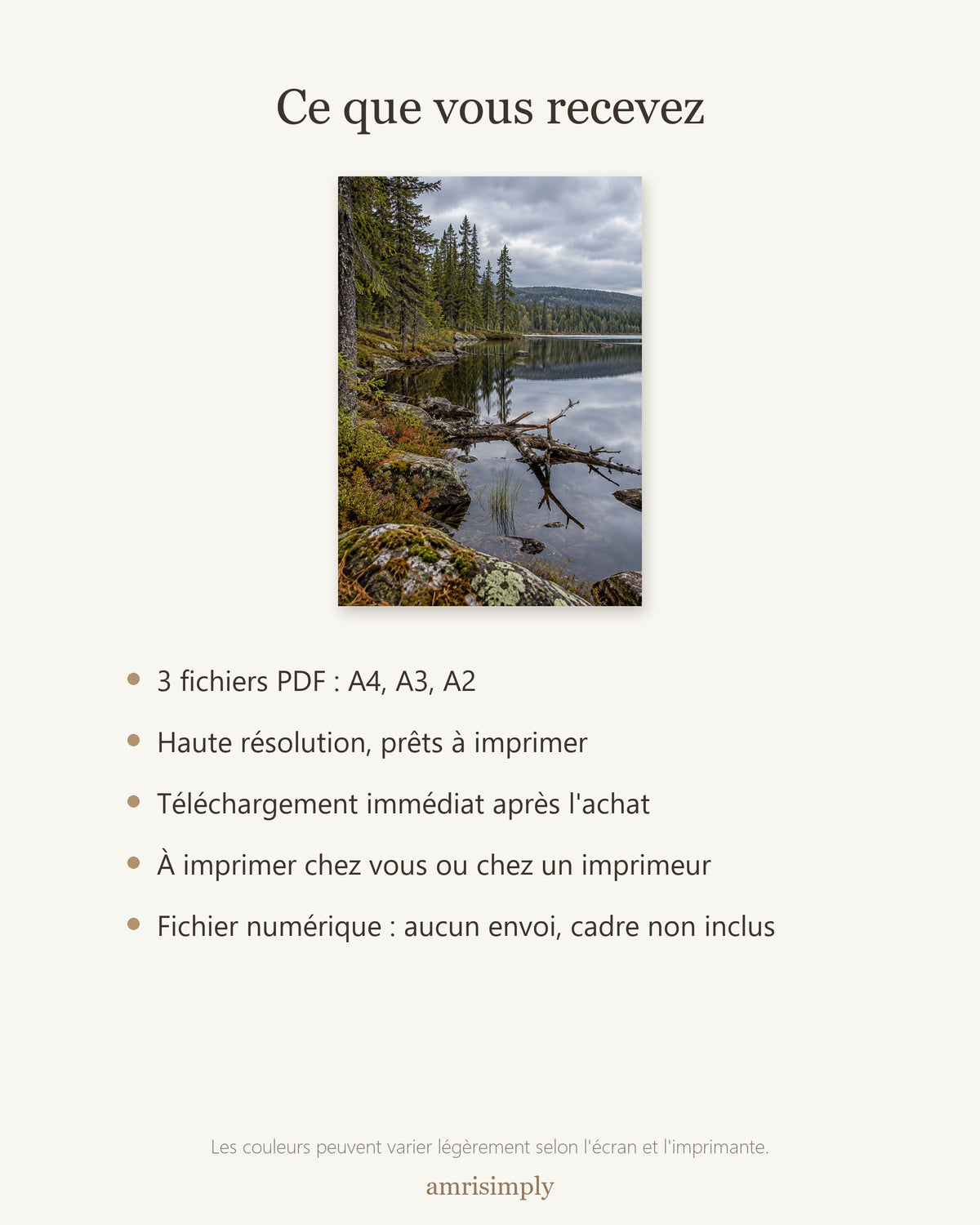 Poster Lac boréal — contenu du téléchargement : fichiers PDF