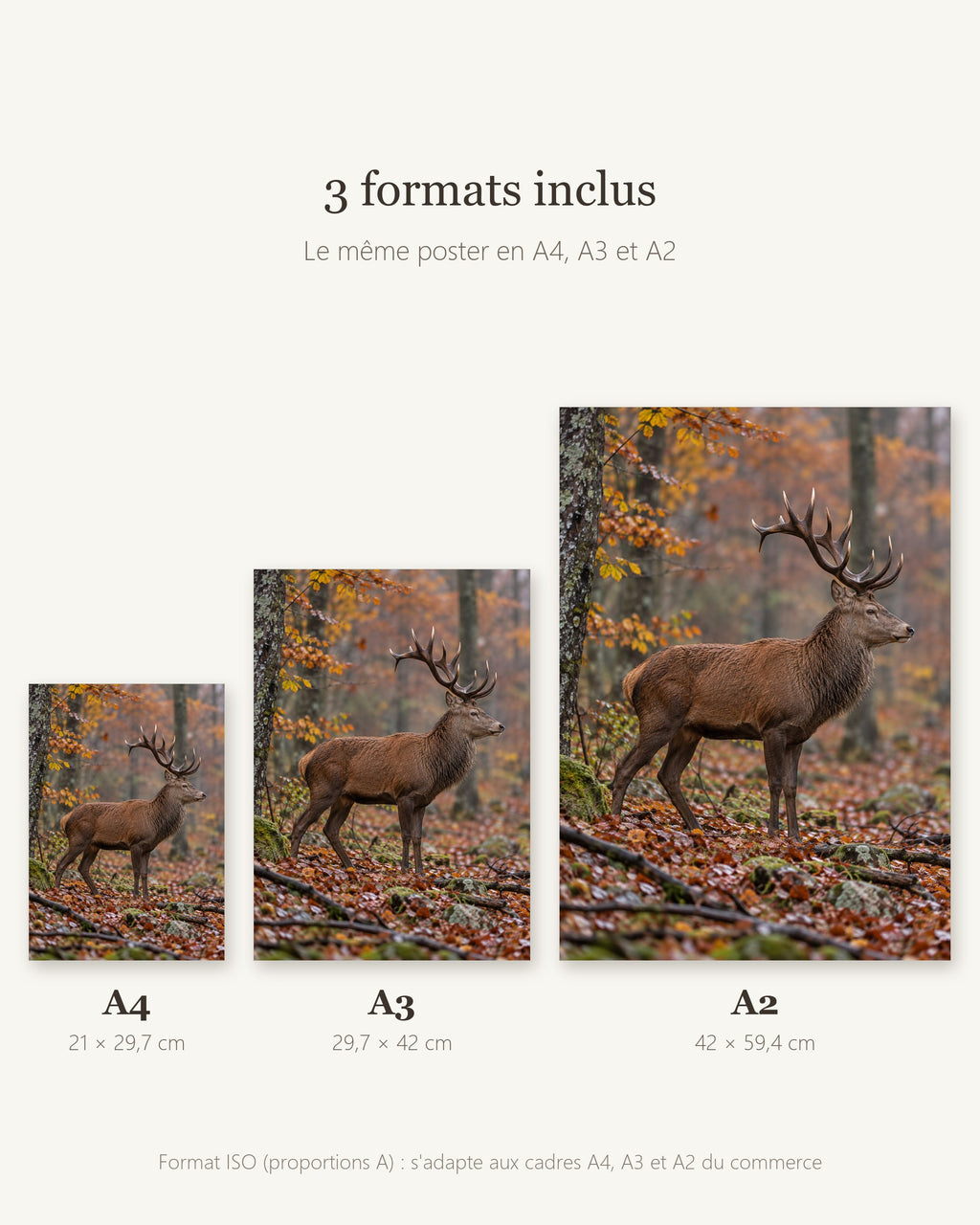Poster Cerf en forêt d'automne — formats A4, A3 et A2