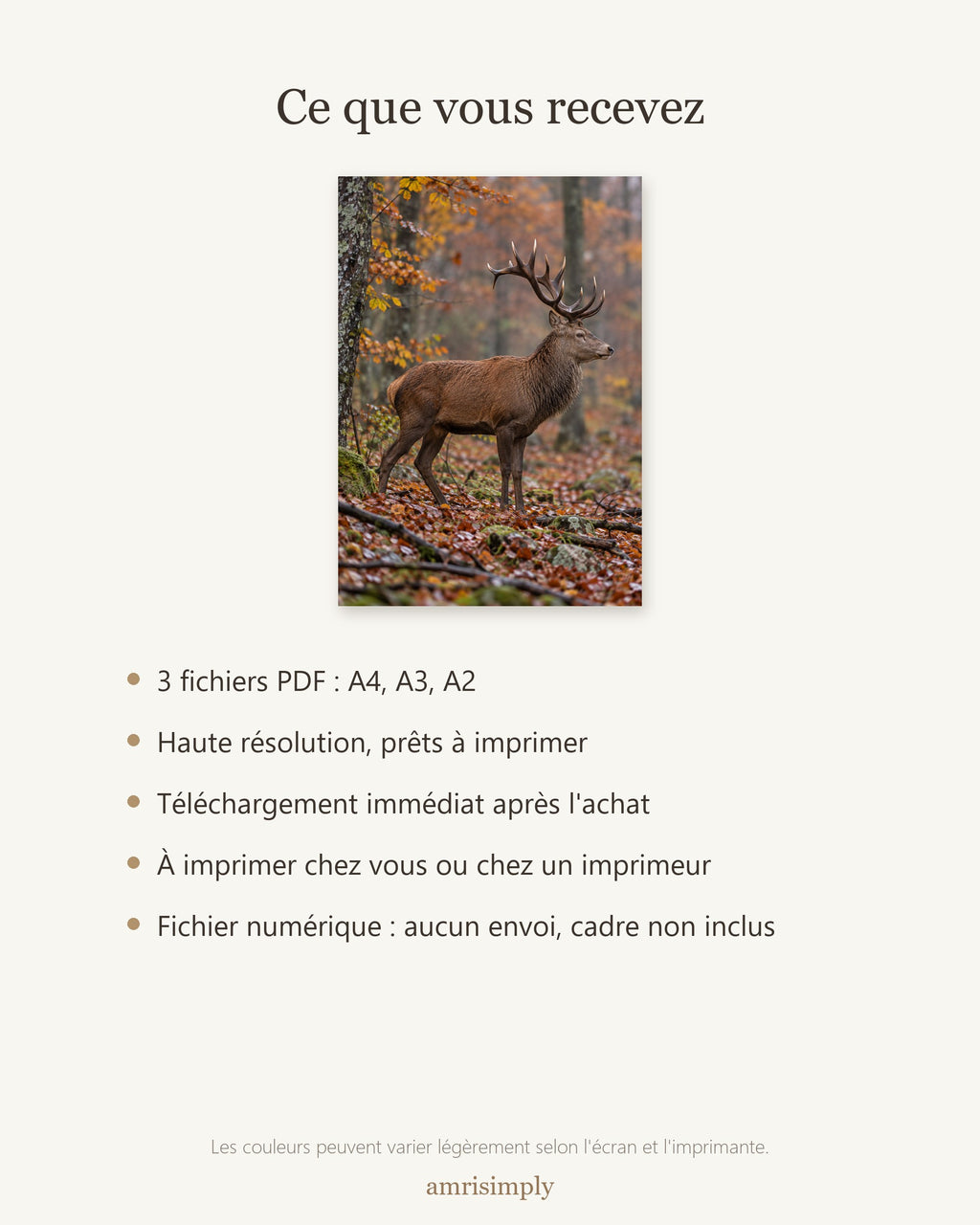 Poster Cerf en forêt d'automne — contenu du téléchargement : fichiers PDF