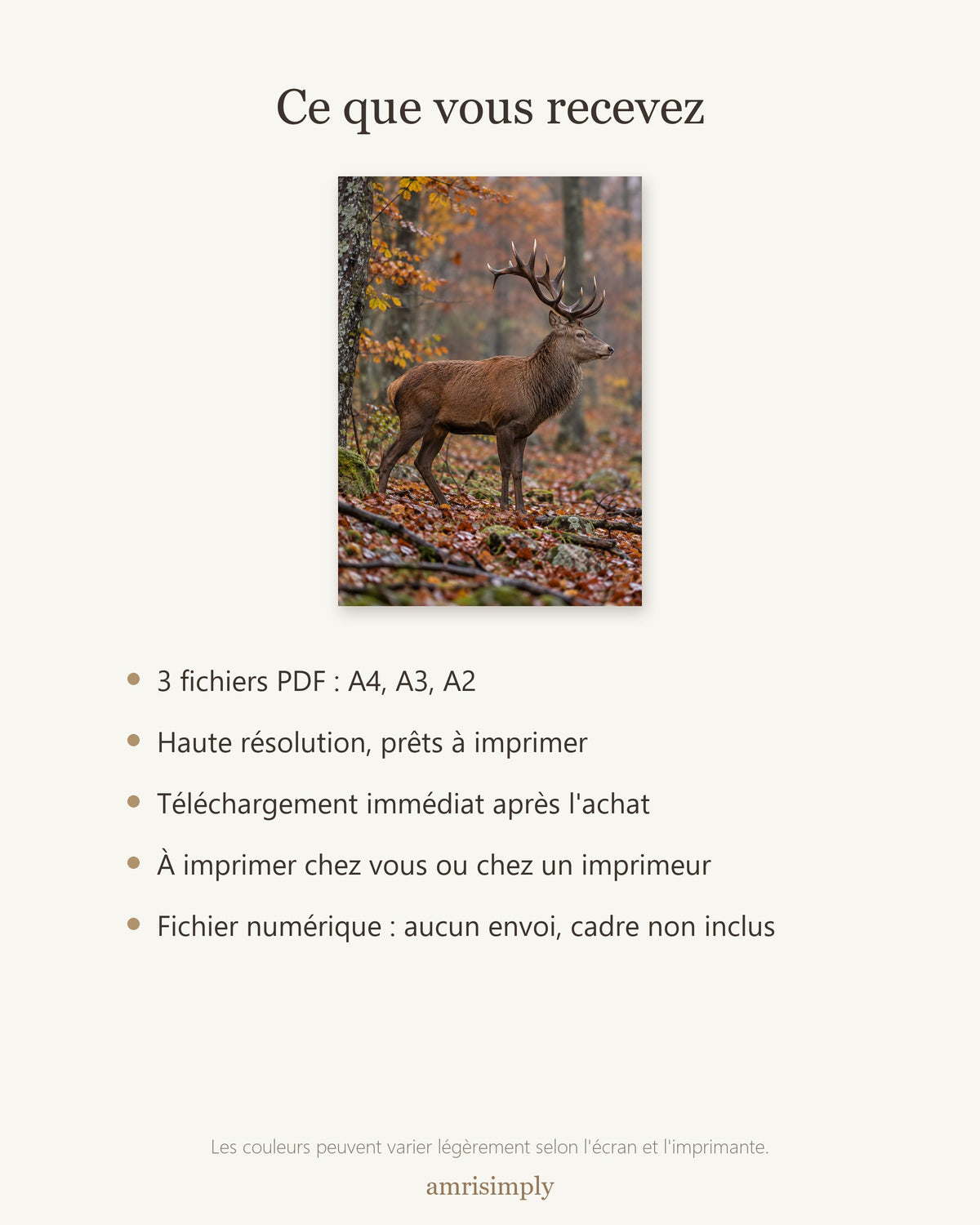 Poster Cerf en forêt d'automne — contenu du téléchargement : fichiers PDF