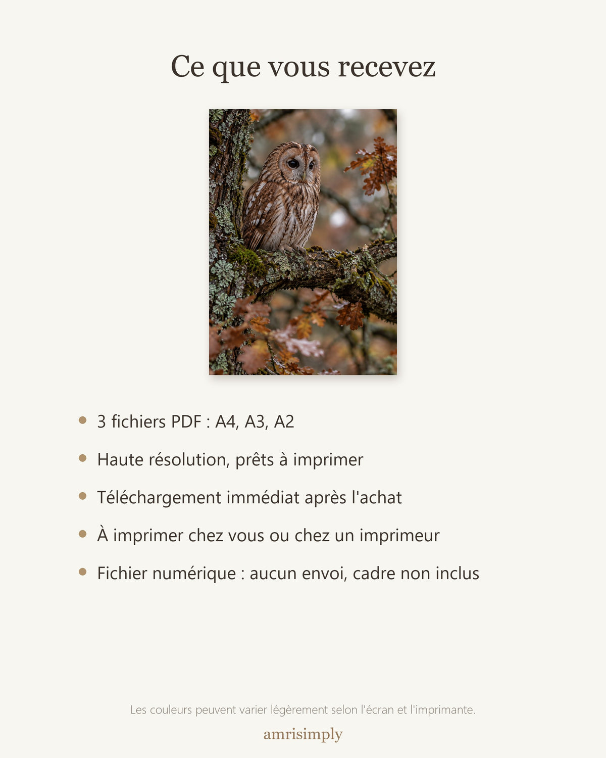 Poster Chouette hulotte — contenu du téléchargement : fichiers PDF