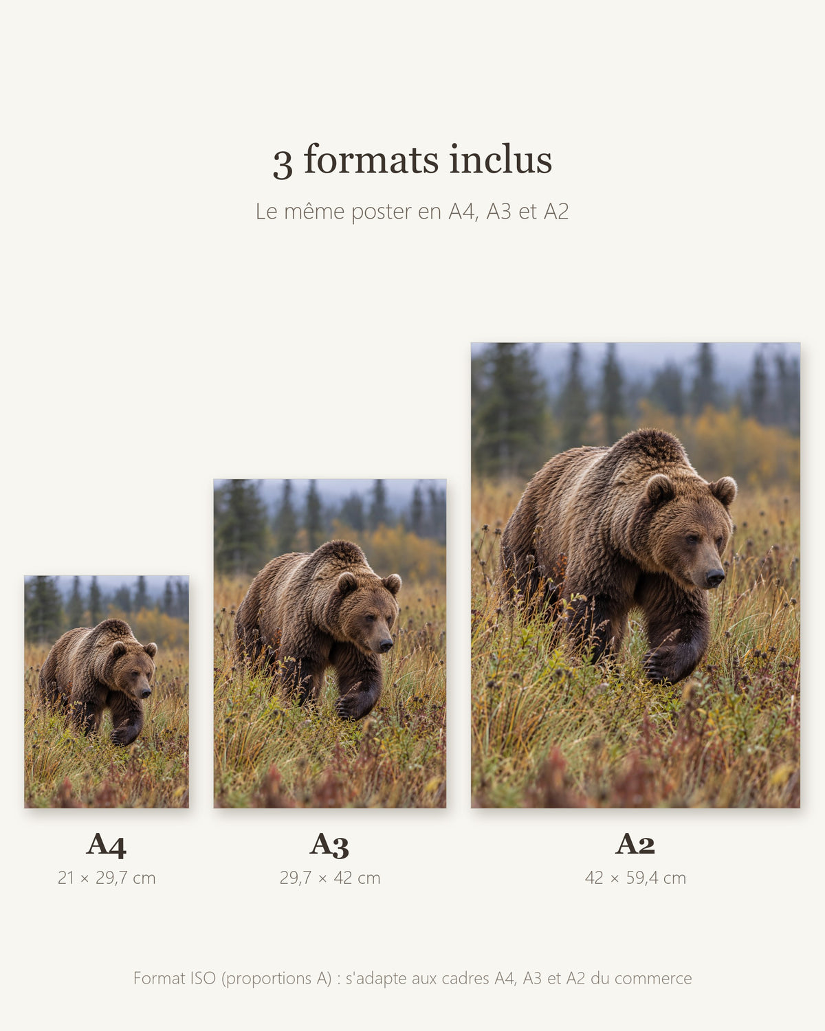 Poster Ours brun — formats A4, A3 et A2