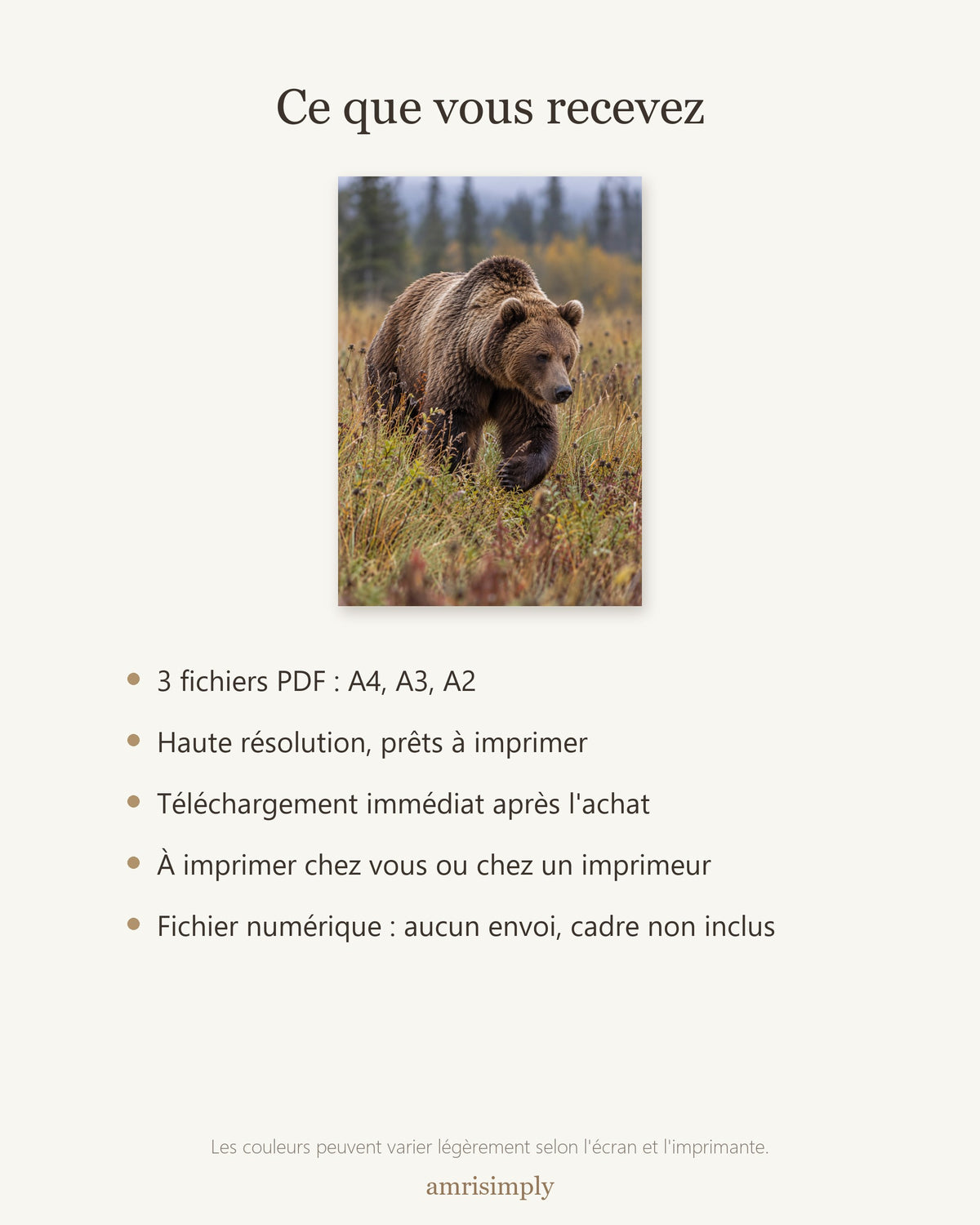 Poster Ours brun — contenu du téléchargement : fichiers PDF