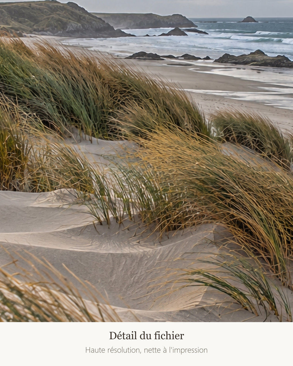 Poster Dunes et oyats — détail de l'illustration