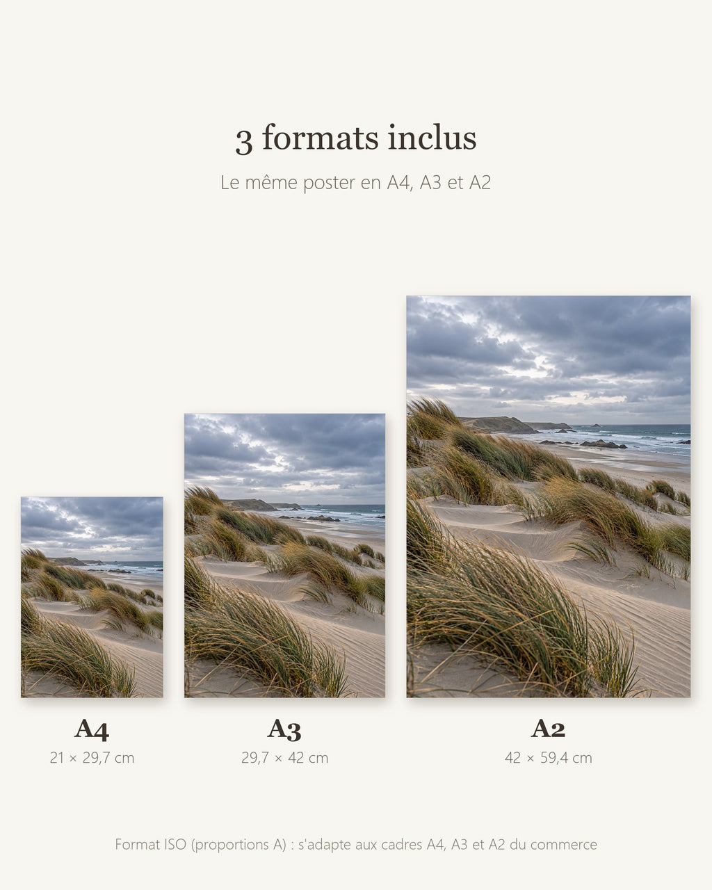 Poster Dunes et oyats — formats A4, A3 et A2