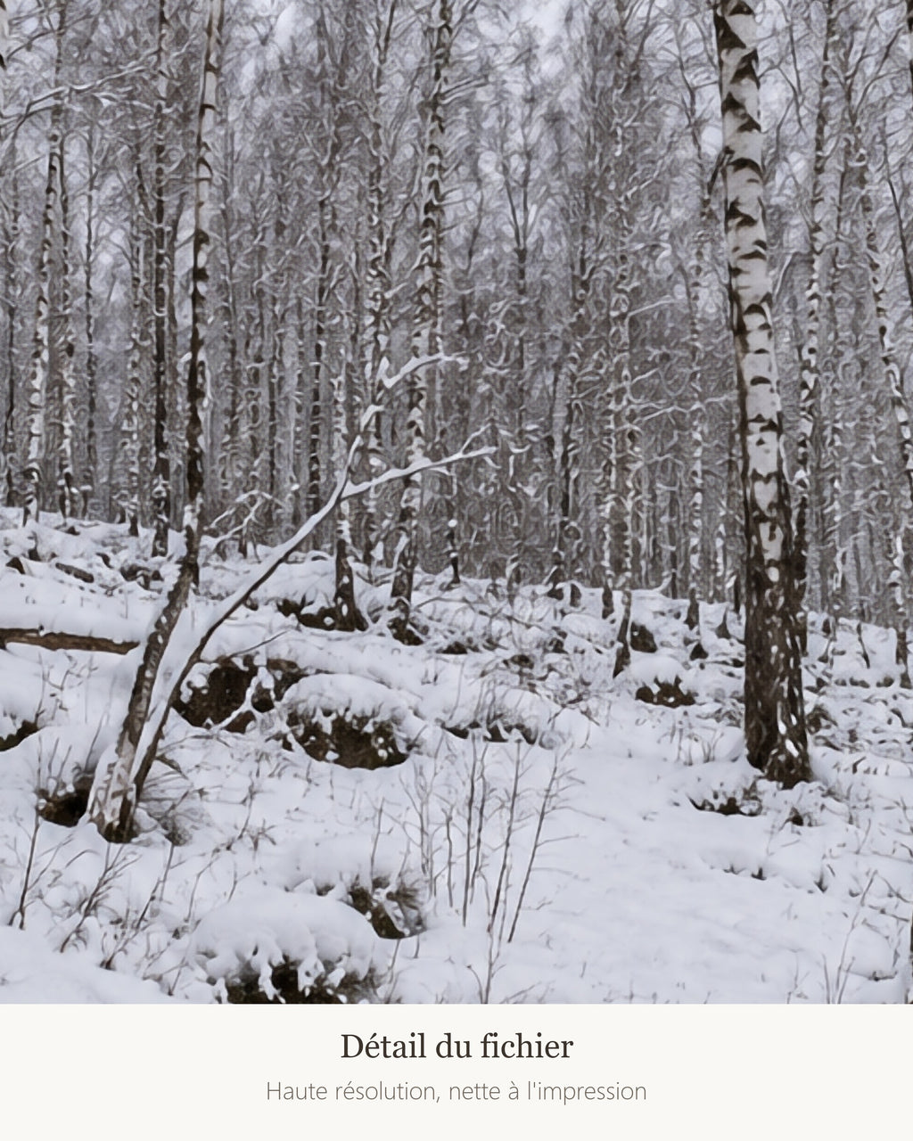 Poster Forêt de bouleaux sous la neige — détail de l'illustration