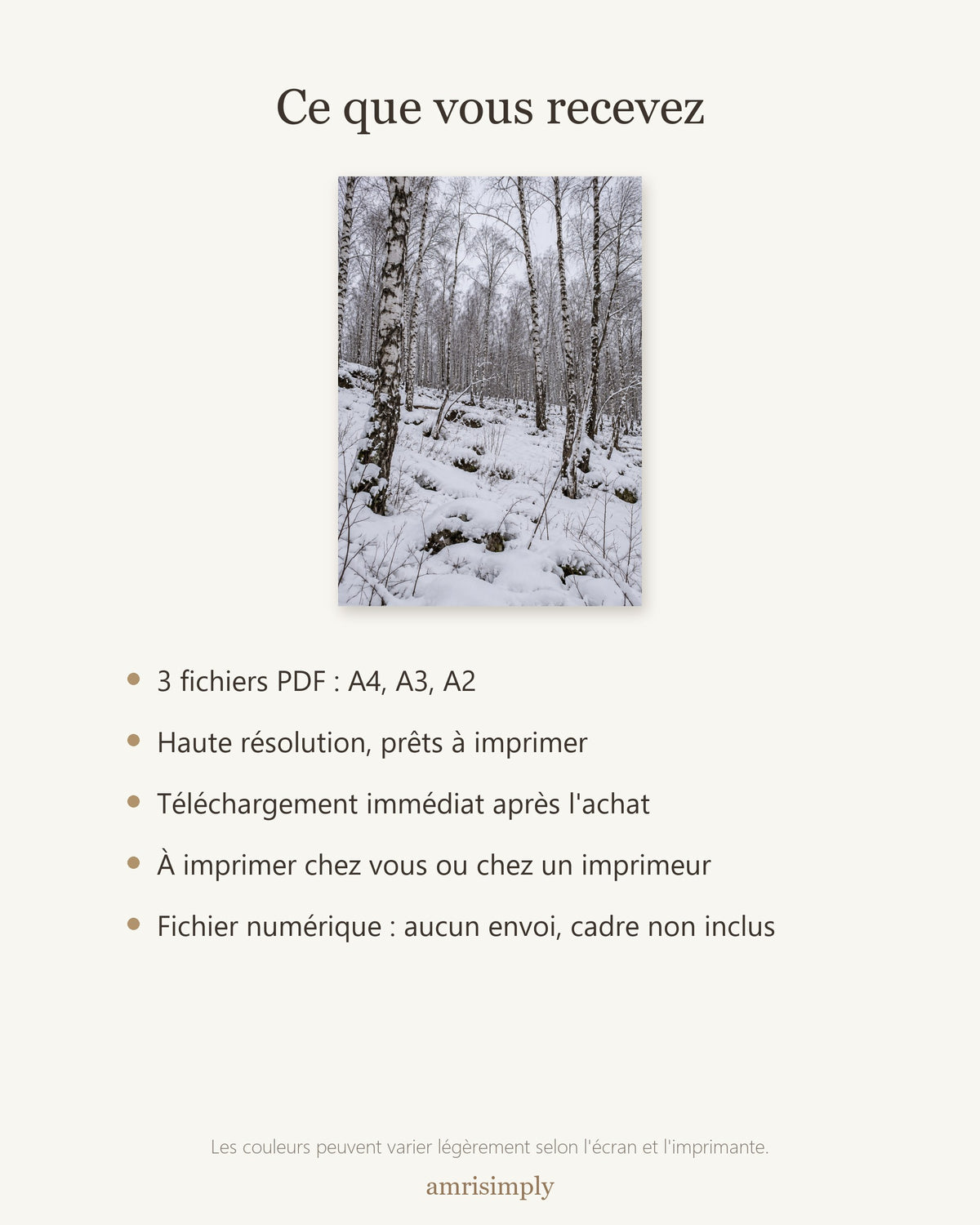 Poster Forêt de bouleaux sous la neige — contenu du téléchargement : fichiers PDF