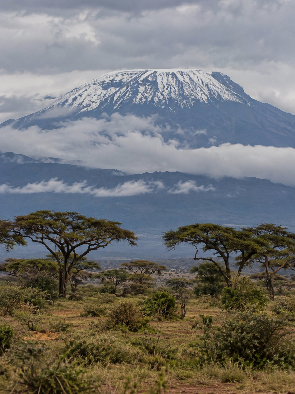 Poster encadré Kilimandjaro — photo 2