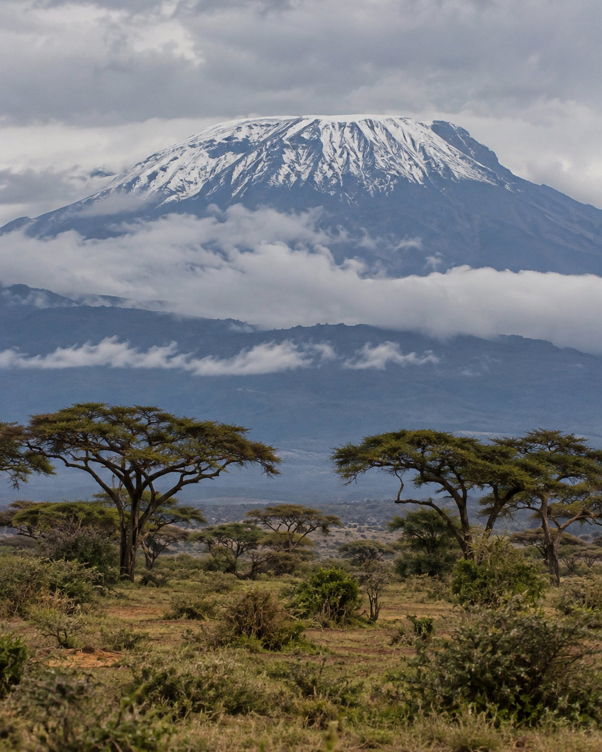 Poster encadré Kilimandjaro — photo 3