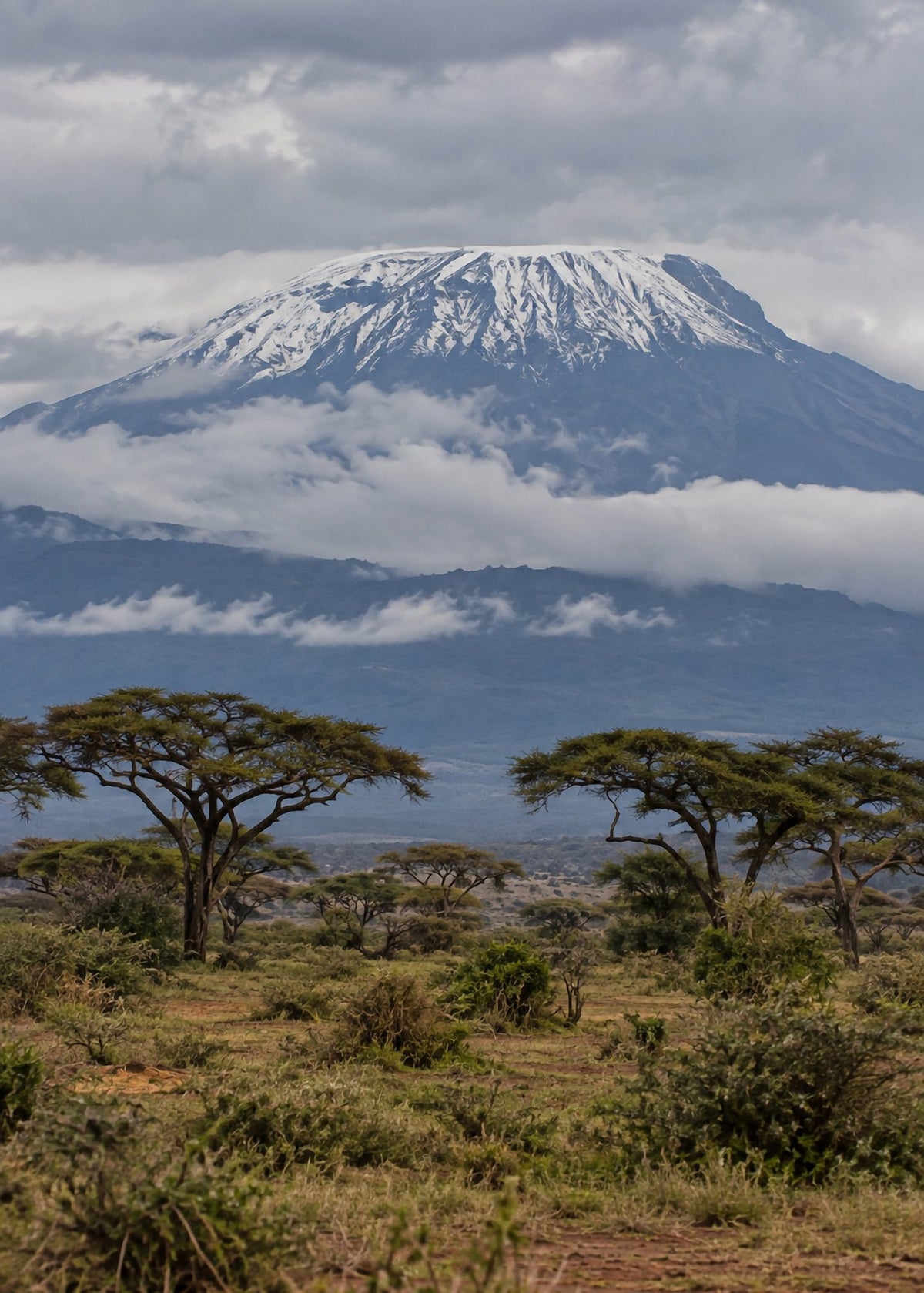 Poster encadré Kilimandjaro — photo 4