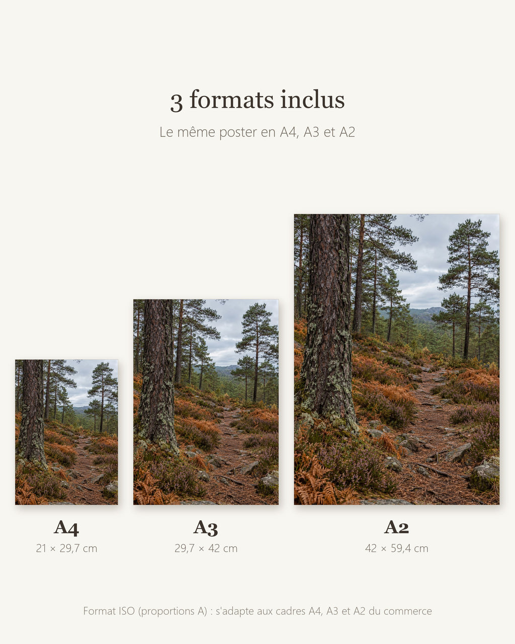 Poster Sentier en forêt de pins — formats A4, A3 et A2
