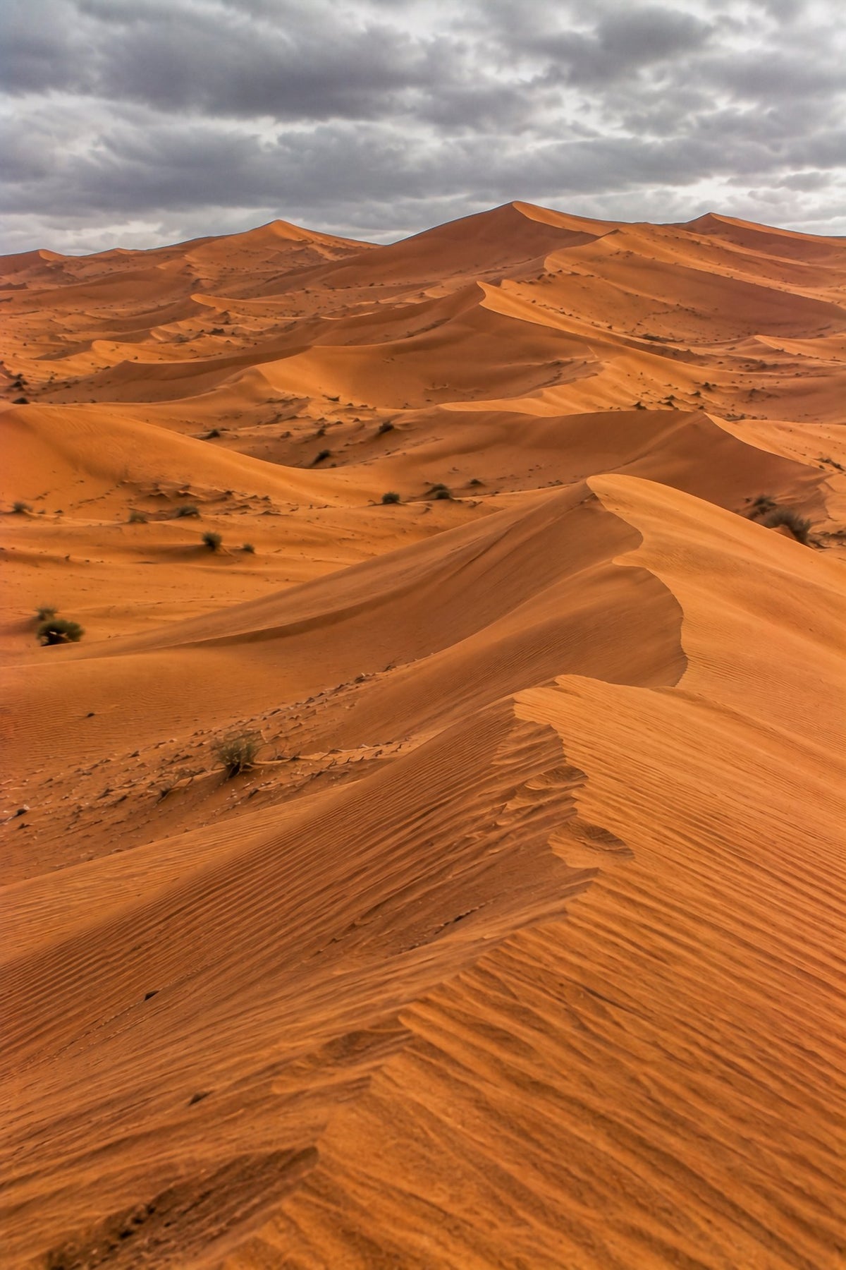 Poster encadré Wahiba Sands, Oman — photo 1