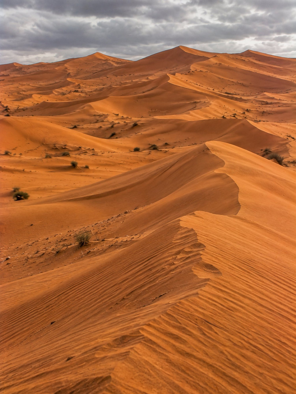 Poster encadré Wahiba Sands, Oman — photo 2