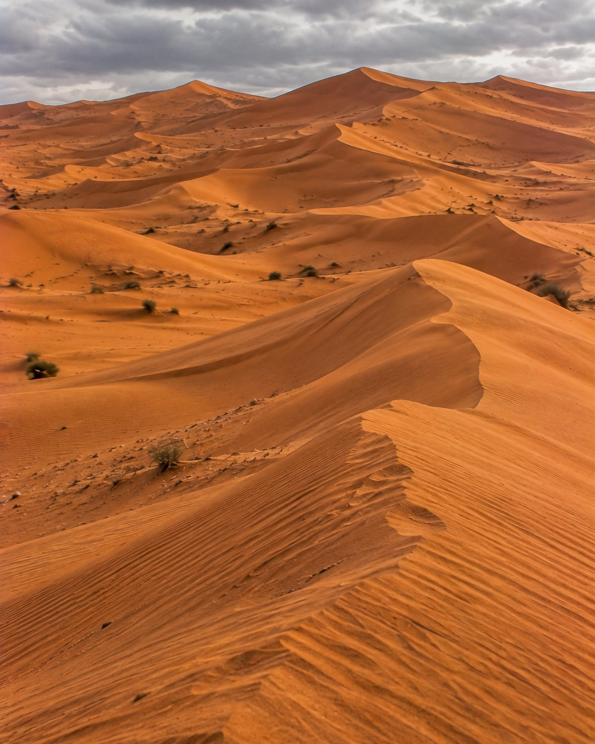 Poster encadré Wahiba Sands, Oman — photo 3