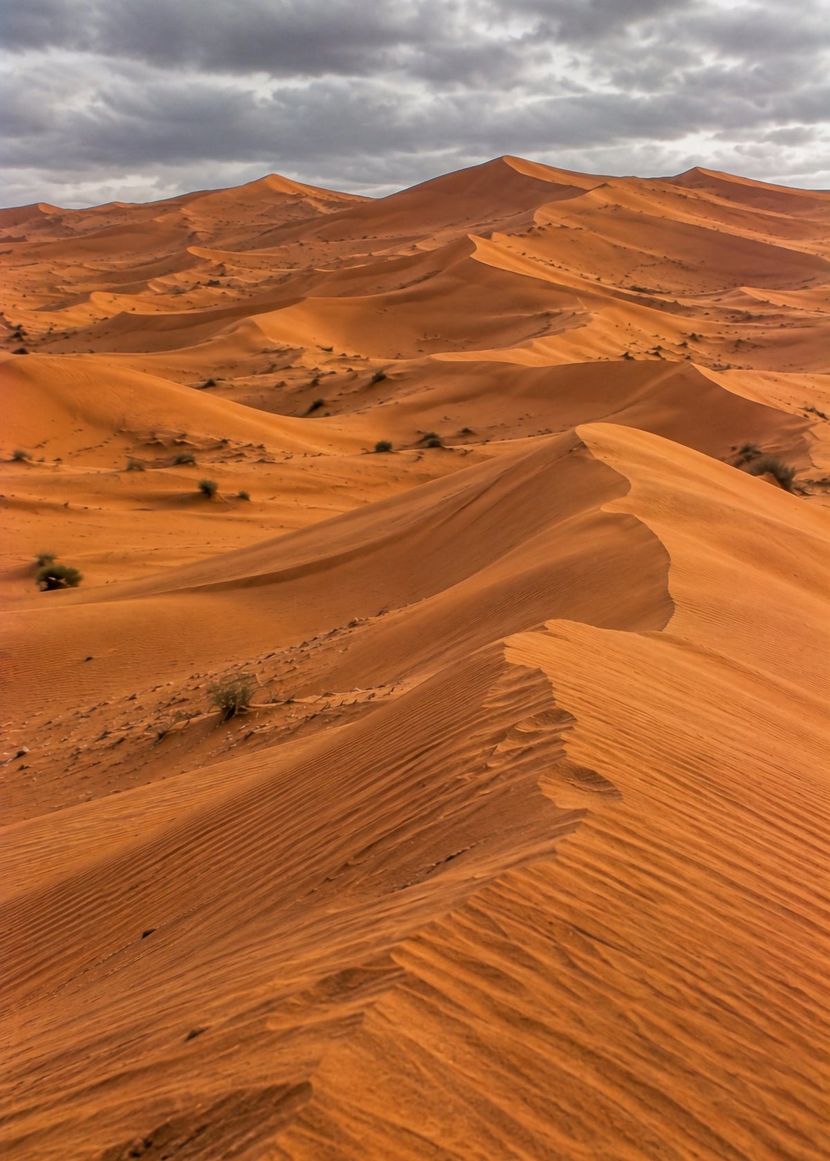 Poster encadré Wahiba Sands, Oman — photo 4