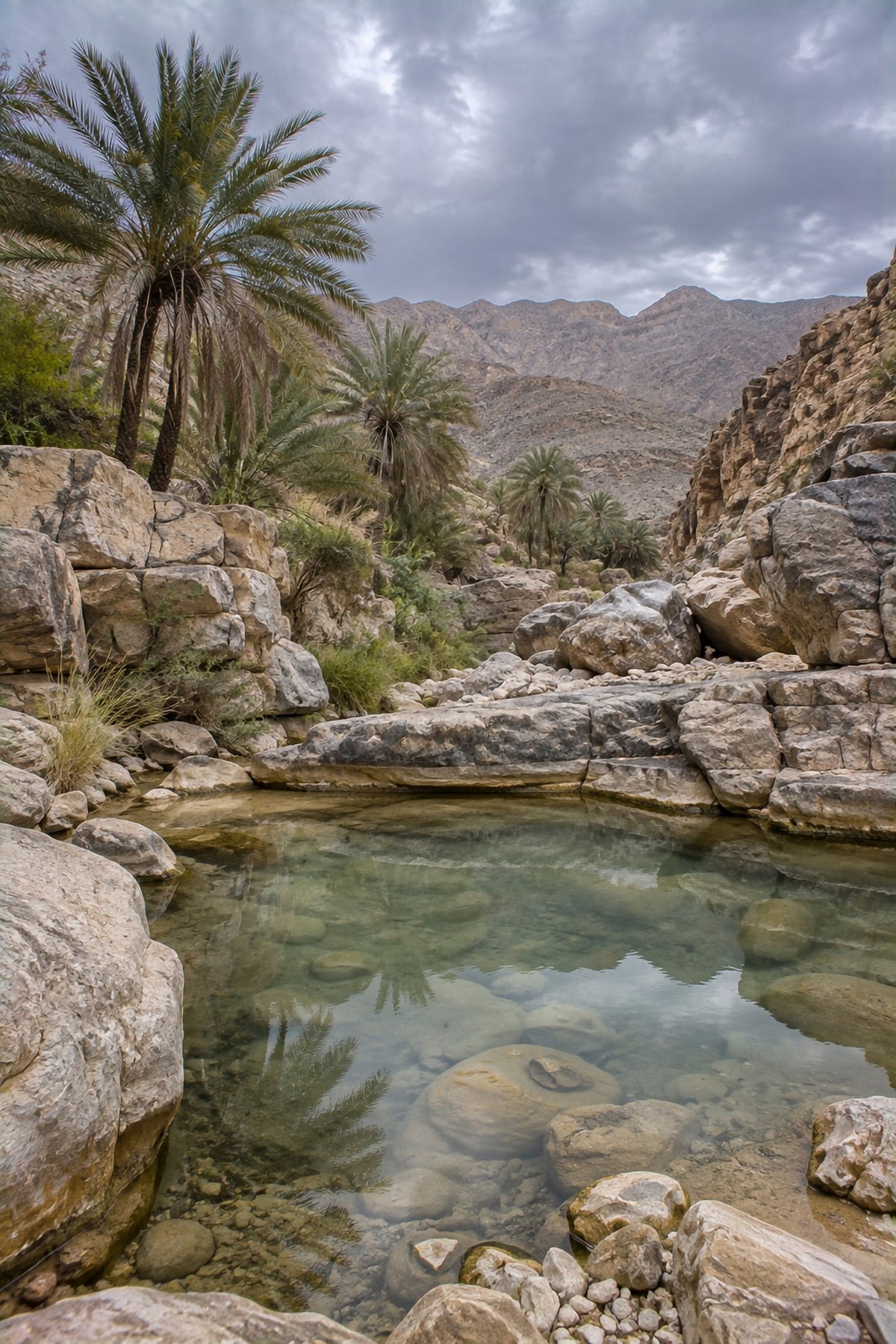 Poster encadré Wadi d'Oman — photo 1