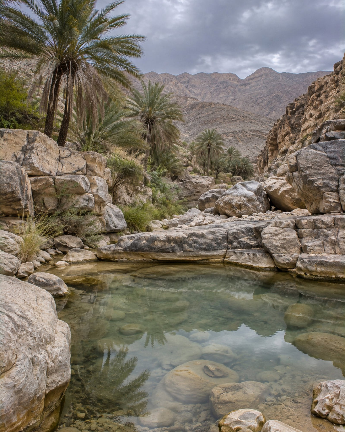Poster encadré Wadi d'Oman — photo 3