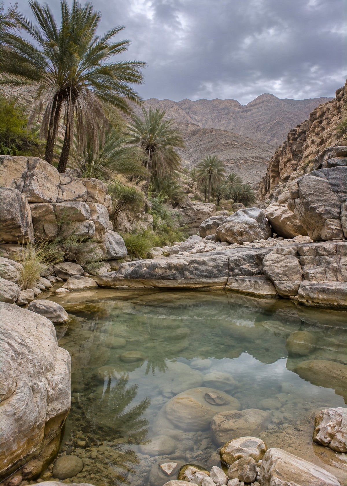 Poster encadré Wadi d'Oman — photo 4