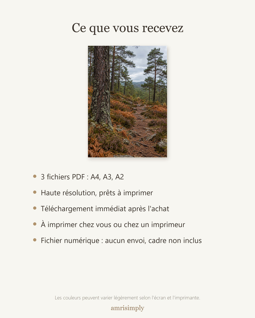 Poster Sentier en forêt de pins — contenu du téléchargement : fichiers PDF