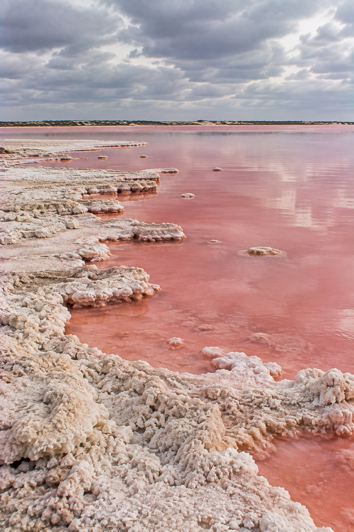 Affiche nature Lac Rose, Sénégal — aperçu