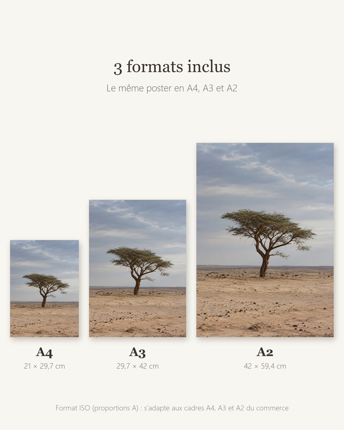 Poster Acacia du Ténéré Niger à Imprimer - Affiche Nature - Décoration Murale - Téléchargement Numérique