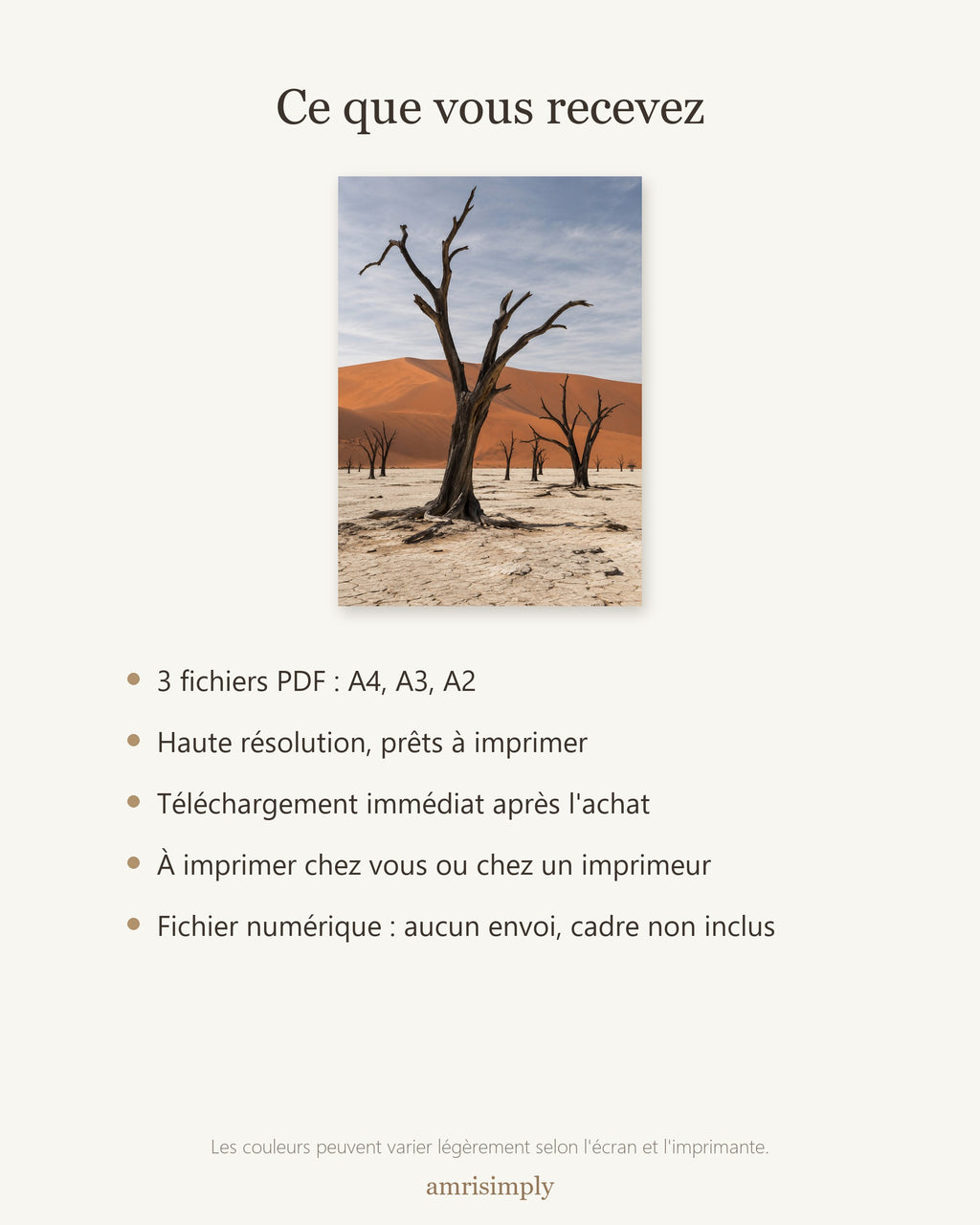 Poster Deadvlei Namibie à Imprimer - Affiche Nature - Décoration Murale - Téléchargement Numérique
