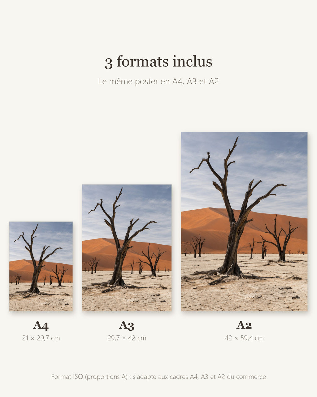 Poster Deadvlei Namibie à Imprimer - Affiche Nature - Décoration Murale - Téléchargement Numérique