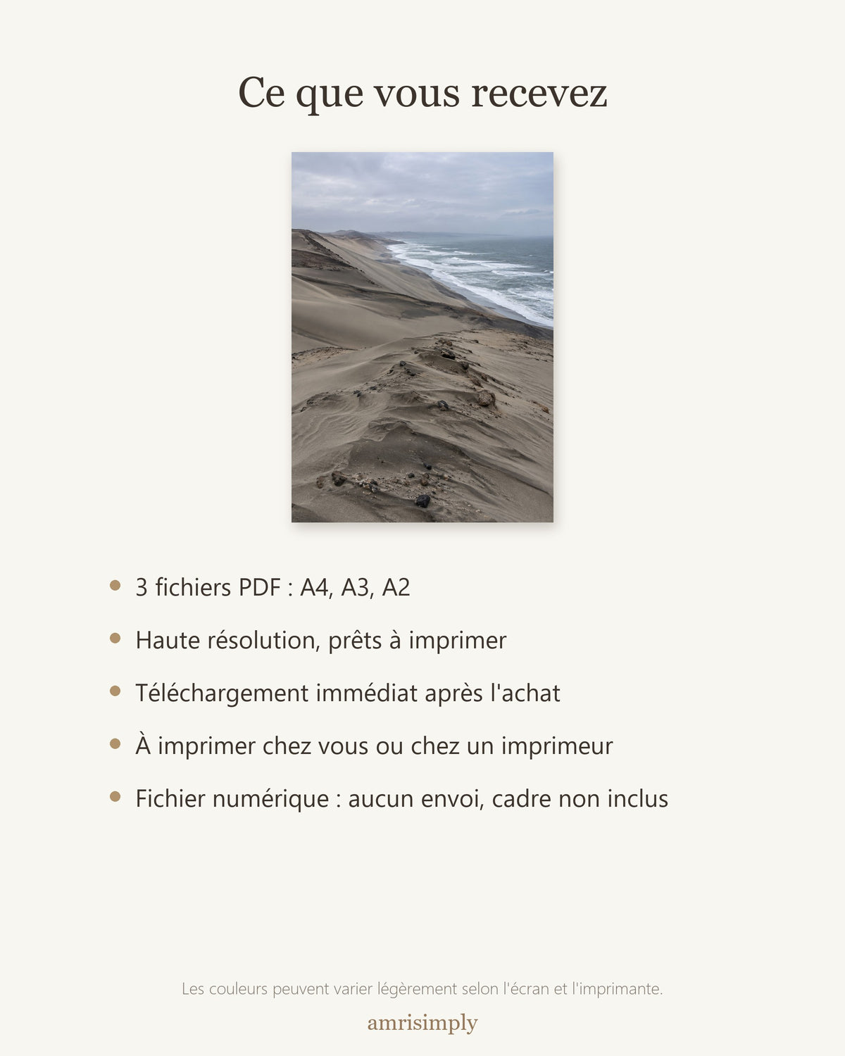 Poster Côte des Squelettes Namibie à Imprimer - Affiche Nature - Décoration Murale - Téléchargement Numérique