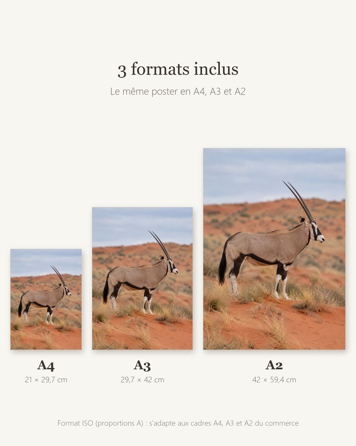 Poster Kalahari et oryx à Imprimer - Affiche Animaux Sauvages - Décoration Murale - Téléchargement Numérique