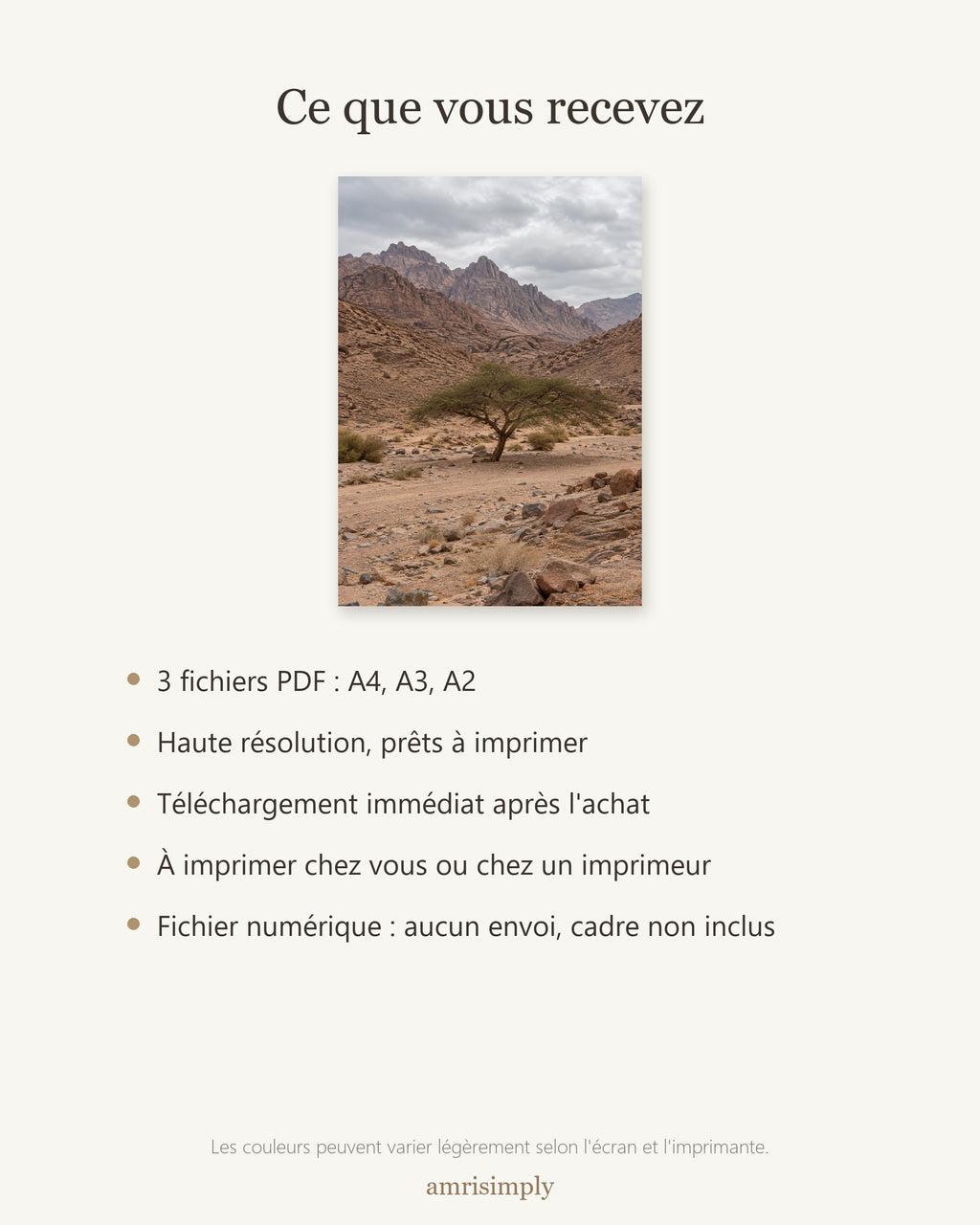 Poster Désert du Sinaï à Imprimer - Affiche Nature - Décoration Murale - Téléchargement Numérique
