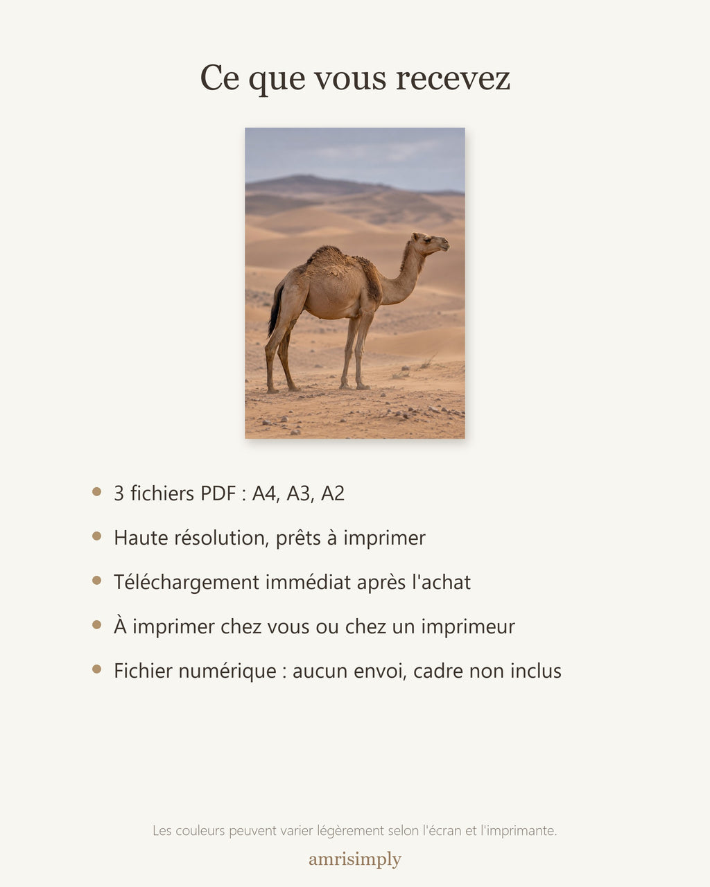 Poster Dromadaire dans les dunes à Imprimer - Affiche Animaux Sauvages - Décoration Murale - Téléchargement Numérique