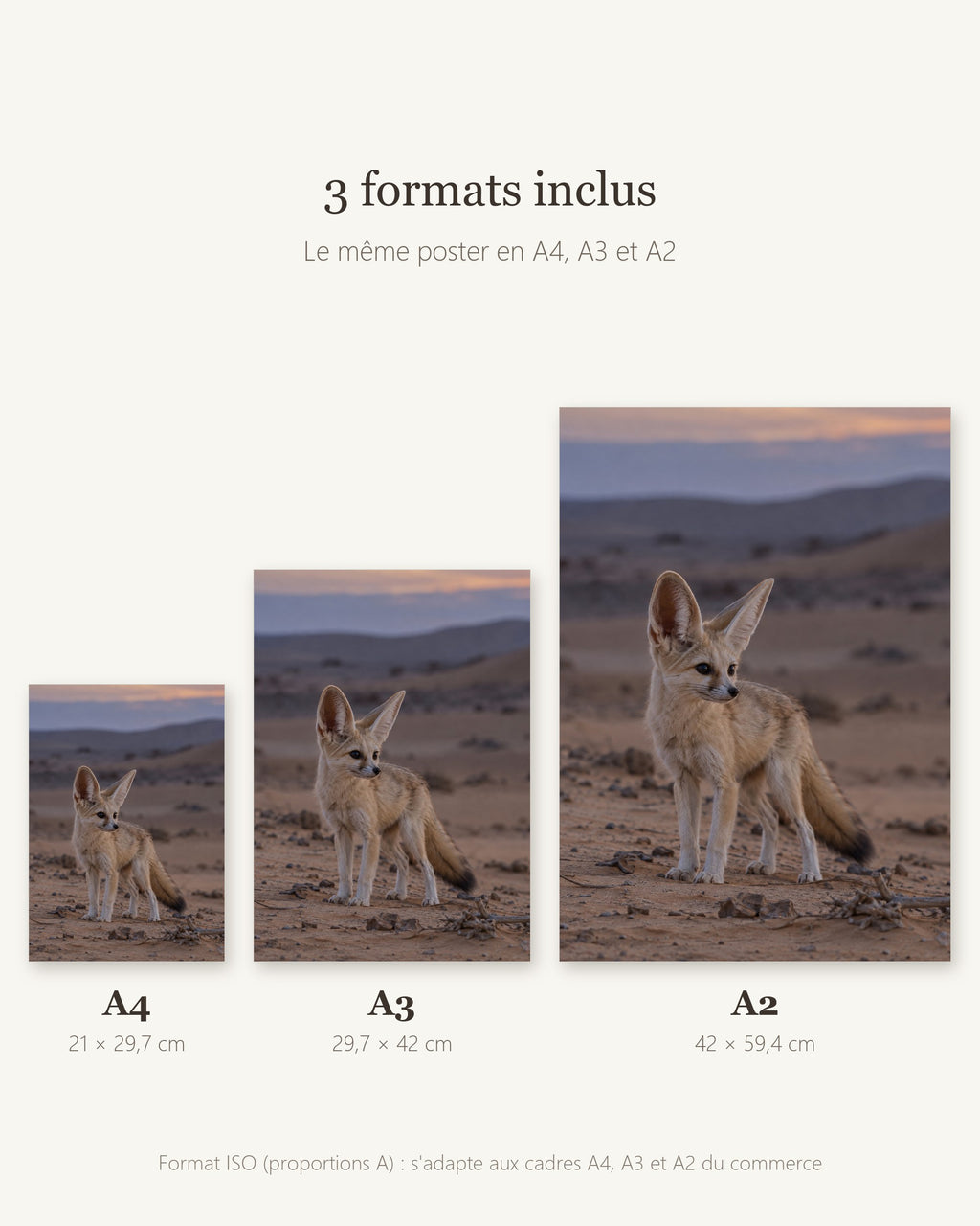 Poster Renard fennec à Imprimer - Affiche Animaux Sauvages - Décoration Murale - Téléchargement Numérique
