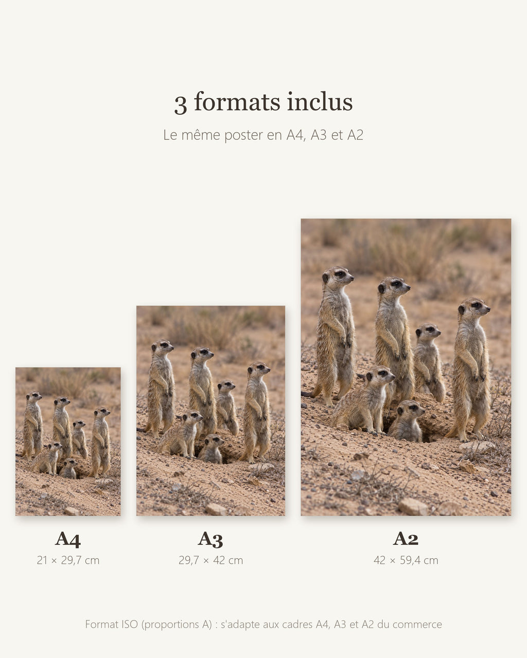 Poster Suricates à Imprimer - Affiche Animaux Sauvages - Décoration Murale - Téléchargement Numérique
